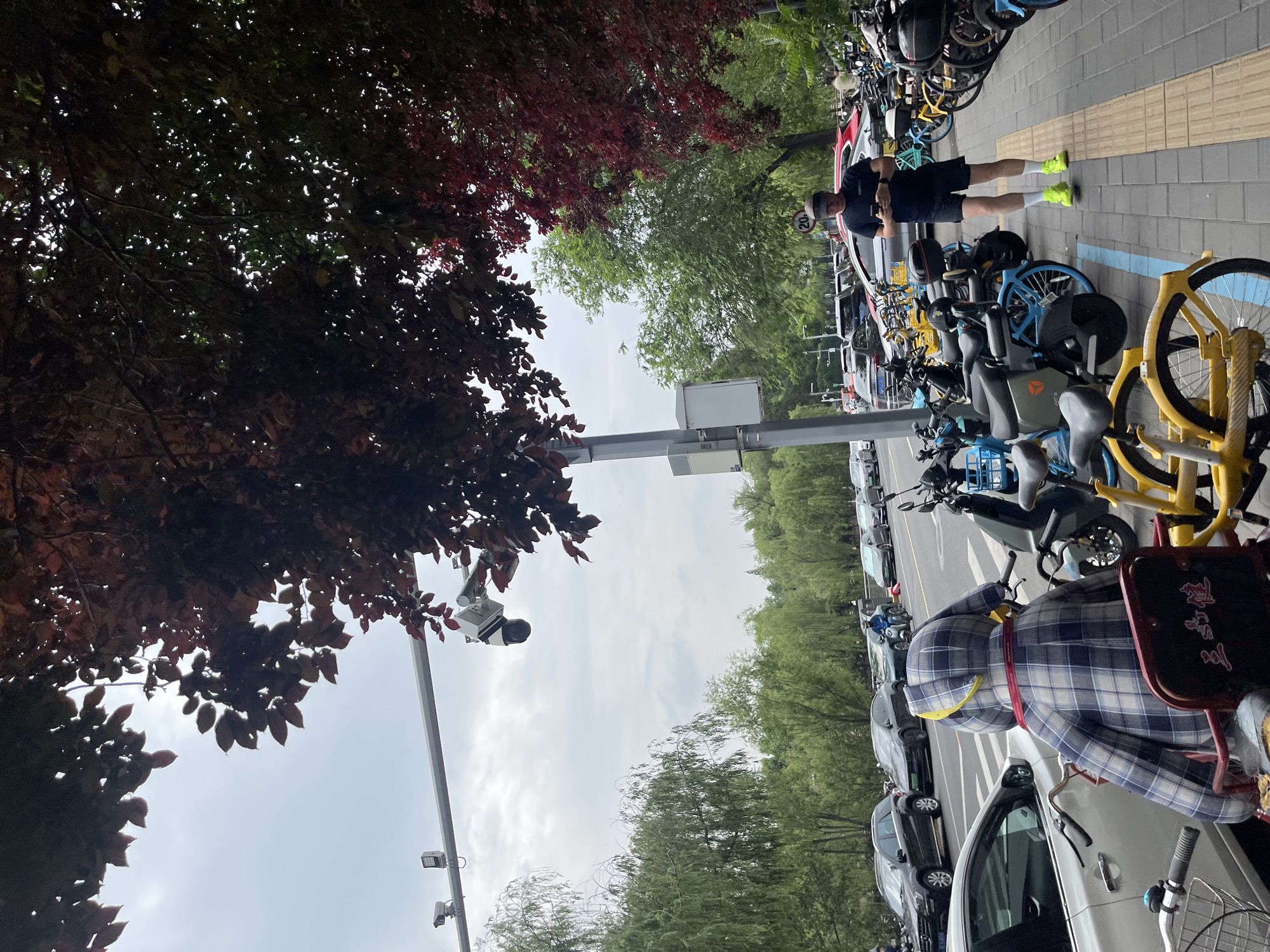 A street scene in Chaoyang District, China. A man in black athletic attire and yellow sneakers stands on a sidewalk lined with parked bikes and scooters, appearing to use his phone. A parked white car is visible in the foreground with a bicycle parked behind it. A security camera is mounted on a pole. Lush trees border the road. The sky is overcast.