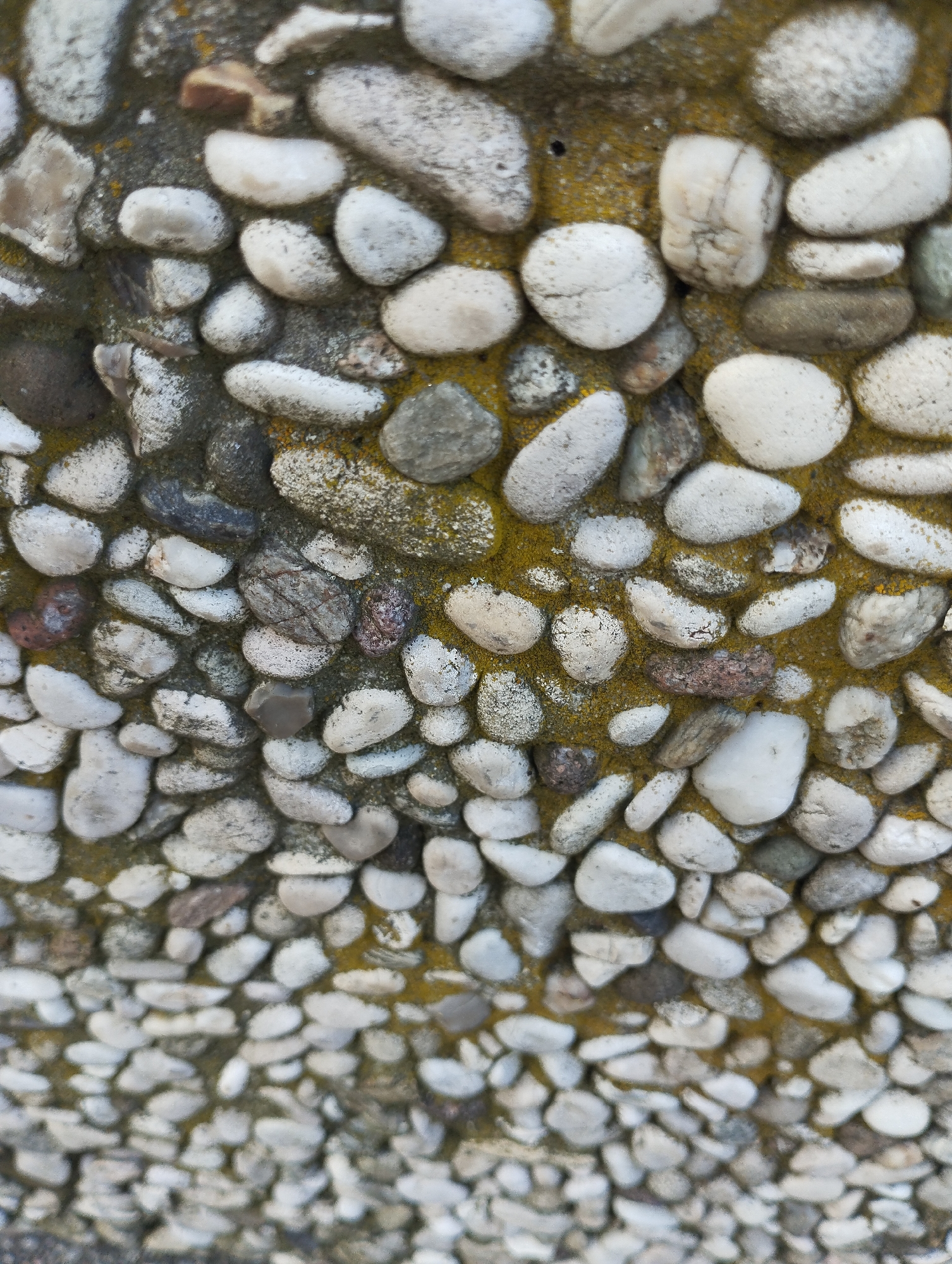 The image is a close-up, vertical, overhead shot of a wall made of small, smooth, rounded stones of various sizes and colors, predominantly white, gray, and some brown. The stones are embedded in a yellow-green mortar, which appears somewhat textured and possibly weathered or mossy. The composition is tightly packed with stones, creating a mosaic-like pattern. Some stones have rougher textures or slight imperfections, while others are very smooth and uniform. The lighting is diffused, casting no harsh shadows, and the focus is sharp on the stones in the foreground, with a slight blurriness towards the bottom of the frame, suggesting a shallow depth of field. The overall impression is of a durable, textured surface, possibly an exterior wall or paving detail. The location is Unknown, Unknown.
