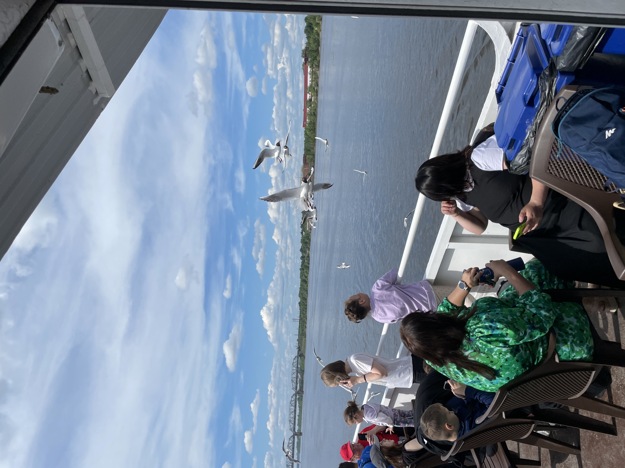 The image, originally rotated 90 degrees counter-clockwise, shows a group of people enjoying a boat trip on a wide river under a bright, partly cloudy sky. The setting is likely Perm, Russia.
**Subjects:** Several individuals, including adults and children, are visible on the boat's deck. Many are seated on brown chairs, while others stand near the white railings. A woman with dark hair, wearing a black top over a white shirt, stands looking down at an object in her hand. Another woman in a vibrant green patterned dress is seated, engrossed in a device. In the background, numerous seagulls are flying around the boat, some quite close to the people, suggesting they might be interacting or being fed.
**Activity or event taking place:** The scene depicts a leisurely river cruise. Passengers are observing the river scenery, the clear sky, and actively engaging with the seagulls. Some individuals are using their mobile phones, likely to capture photos or videos of the birds and the landscape. The atmosphere appears relaxed and enjoyable.
**Notable details:** The time of day is bright and sunny, indicative of midday or early afternoon, with clear blue skies dotted with fluffy white clouds. The river is wide and calm. In the distance across the river, a lush green treeline is visible, along with some buildings, including one with a red roof. A large, intricate metal bridge, likely a railway bridge, spans the river in the background, consistent with the infrastructure of Perm. Visible objects include boat railings, plastic chairs, blue containers, and a blue backpack.
**Visible text:** The letters "WF" are visible in white text on a blue backpack positioned on the right side of the image.