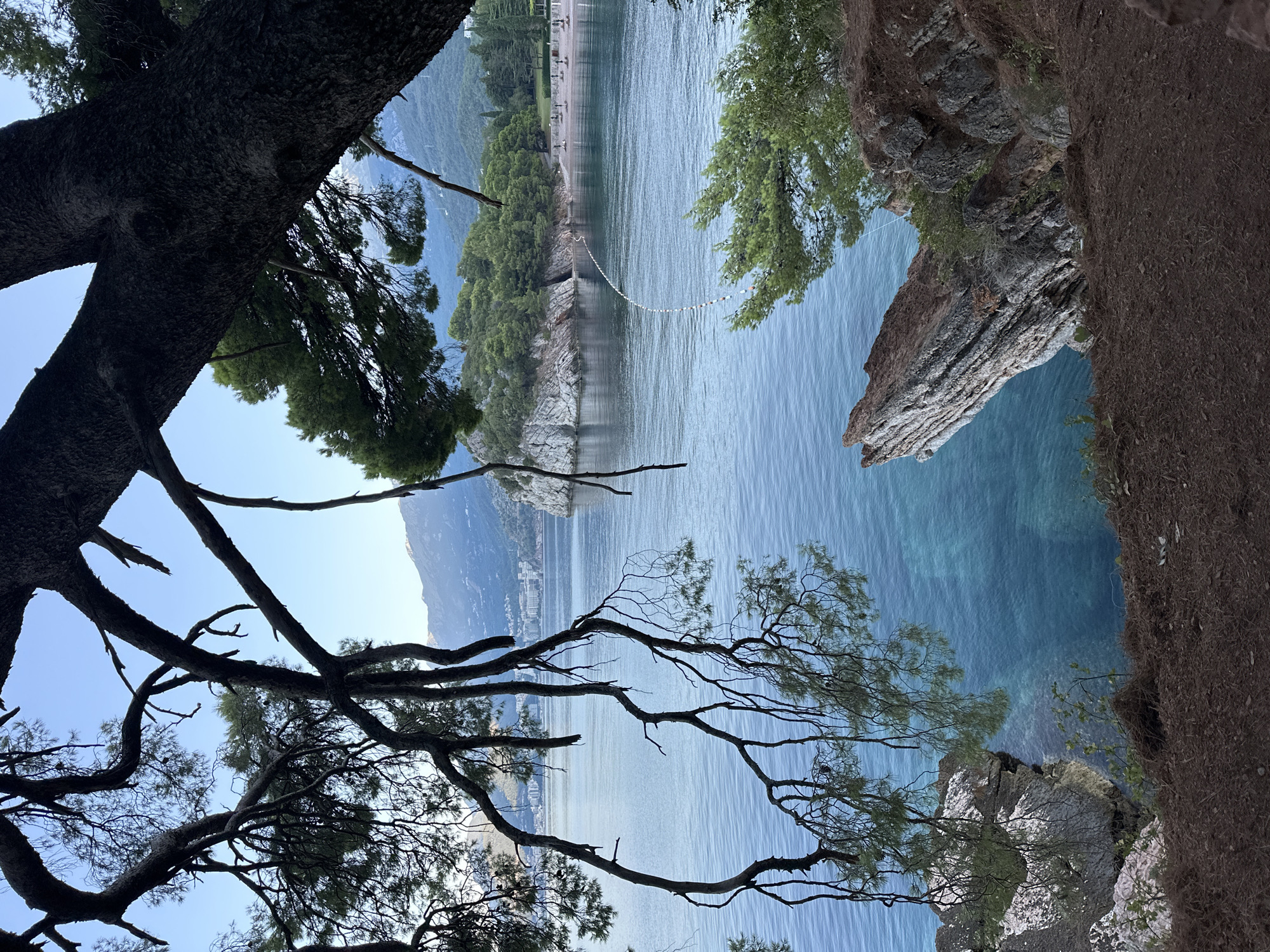 The image presents a scenic view of the coastline near Sveti Stefan, Montenegro, looking towards the sea. In the foreground, a large tree with dark, gnarled branches obscures the view partially, creating a natural frame for the seascape. The branches are silhouetted against a clear, pale blue sky.
The middle ground is dominated by the calm, turquoise waters of the Adriatic Sea, which appear clear enough to see the rocky seabed in shallower areas. A small, rocky island covered in lush green trees juts out into the sea, and beyond it, a sandy beach is visible, lined with rows of empty beach chairs. A white rope with colorful buoys marks a boundary in the water, extending from the rocky island towards the beach.
In the background, a town or resort area with numerous buildings is nestled along the coastline, backed by rolling, tree-covered hills and distant, hazy mountains. The lighting suggests it is either early morning or late afternoon, with a soft, diffused light illuminating the scene. The overall impression is one of tranquility and natural beauty.