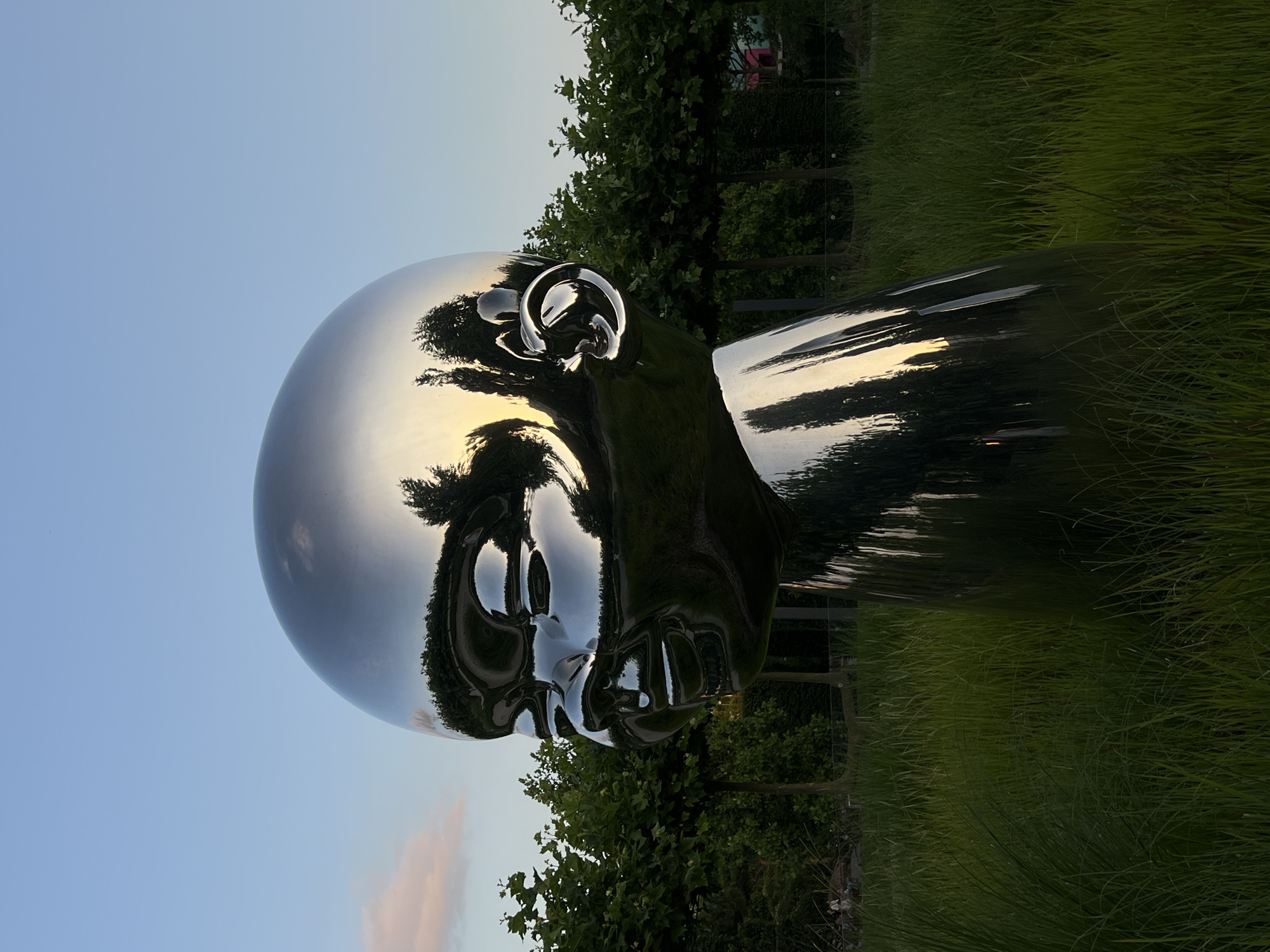 This media file features a large, highly polished chrome sculpture of a human head, positioned outdoors amidst greenery. The sculpture is abstract and reflective, mirroring the surrounding environment. The top of the head is smooth and rounded, while the facial features, including an ear, nose, mouth, and parts of the eyes, are clearly defined. The sculpture's surface reflects the clear sky, trees, and tall grass, creating a distorted and abstract depiction of the scene. The lighting suggests it is either sunrise or sunset, with warm tones visible in the sky and reflected on the sculpture. The setting appears to be a park or garden, with lush green grass and trees in the background. The overall mood is serene and contemplative, with the reflective sculpture drawing attention to its surroundings. There is no visible text in the media file. The location context is Krasnodar, Russia.
