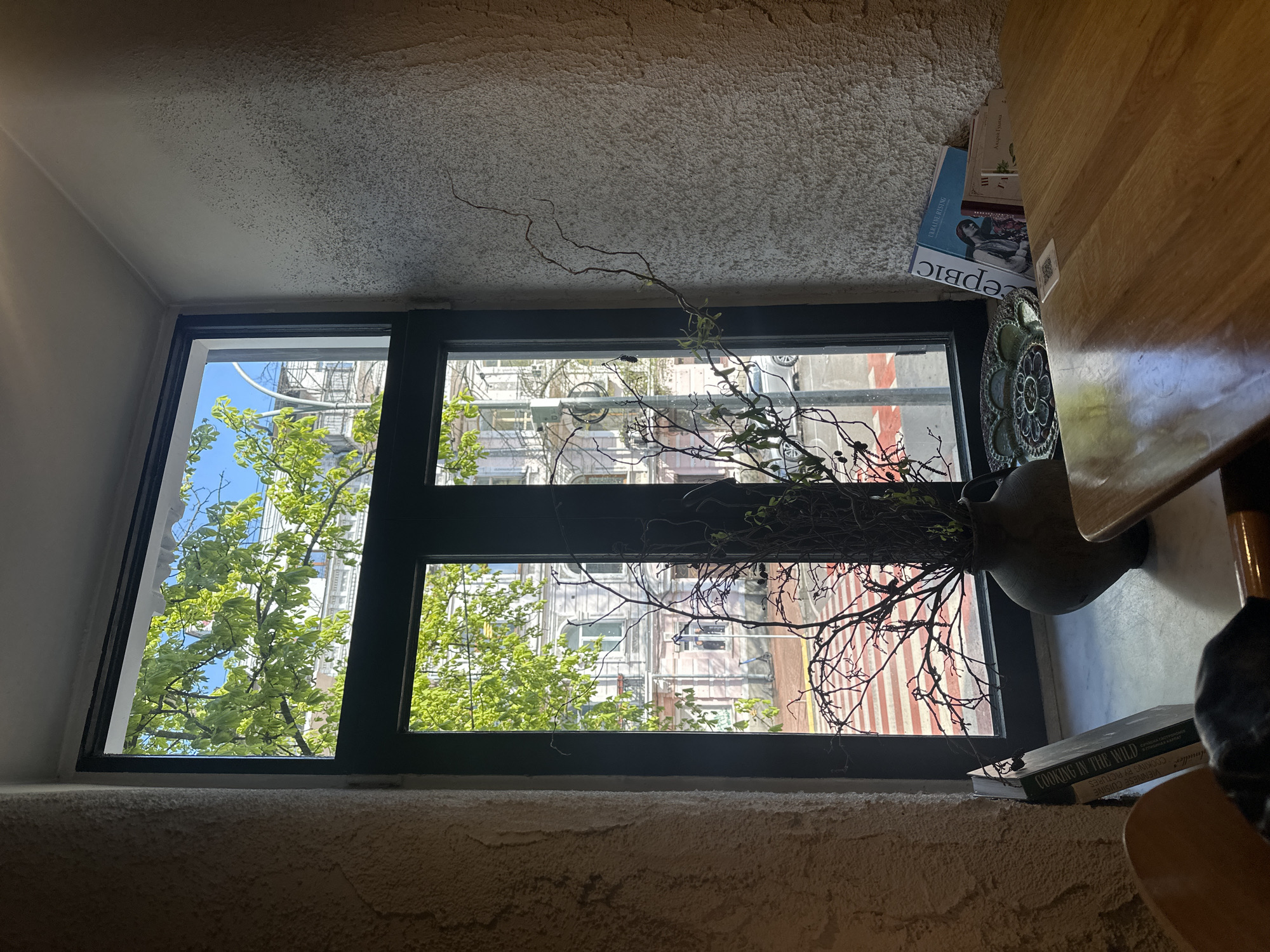 An interior view looks out a dark-framed window onto an urban streetscape in Kyiv, Ukraine, under bright daylight. The room features a textured, off-white ceiling and a textured wall below the window. To the left, a smooth, light-colored wall is visible, while a warm-toned wooden table occupies the right side of the frame.
Inside, positioned near the window, is a dark vase containing an arrangement of bare, twisting branches with a scattering of small green leaves. Next to the vase, a decorative plate with an ornate, circular pattern rests on a surface. Several books and magazines are stacked on the wooden table and a ledge below the window.
Through the window, vibrant green trees with lush foliage are prominent, silhouetted against a clear blue sky. Beyond the trees, multi-story buildings with balconies and intricate architectural features characteristic of urban Kyiv are visible. The scene is illuminated by strong sunlight, suggesting a clear morning or afternoon.
Visible text on the books and magazines includes titles such as "COOKING IN THE WILD," "VIENNESE CUISINE," "COOKING BY PICTURES," and "dmüller." Other visible text includes "UKRAINE RISING," "Андрей Гудима" (Andriy Hudyma), and "сервіс" (service), strongly indicating the Ukrainian context. The image portrays a calm domestic setting with a clear view of the bustling city outside.