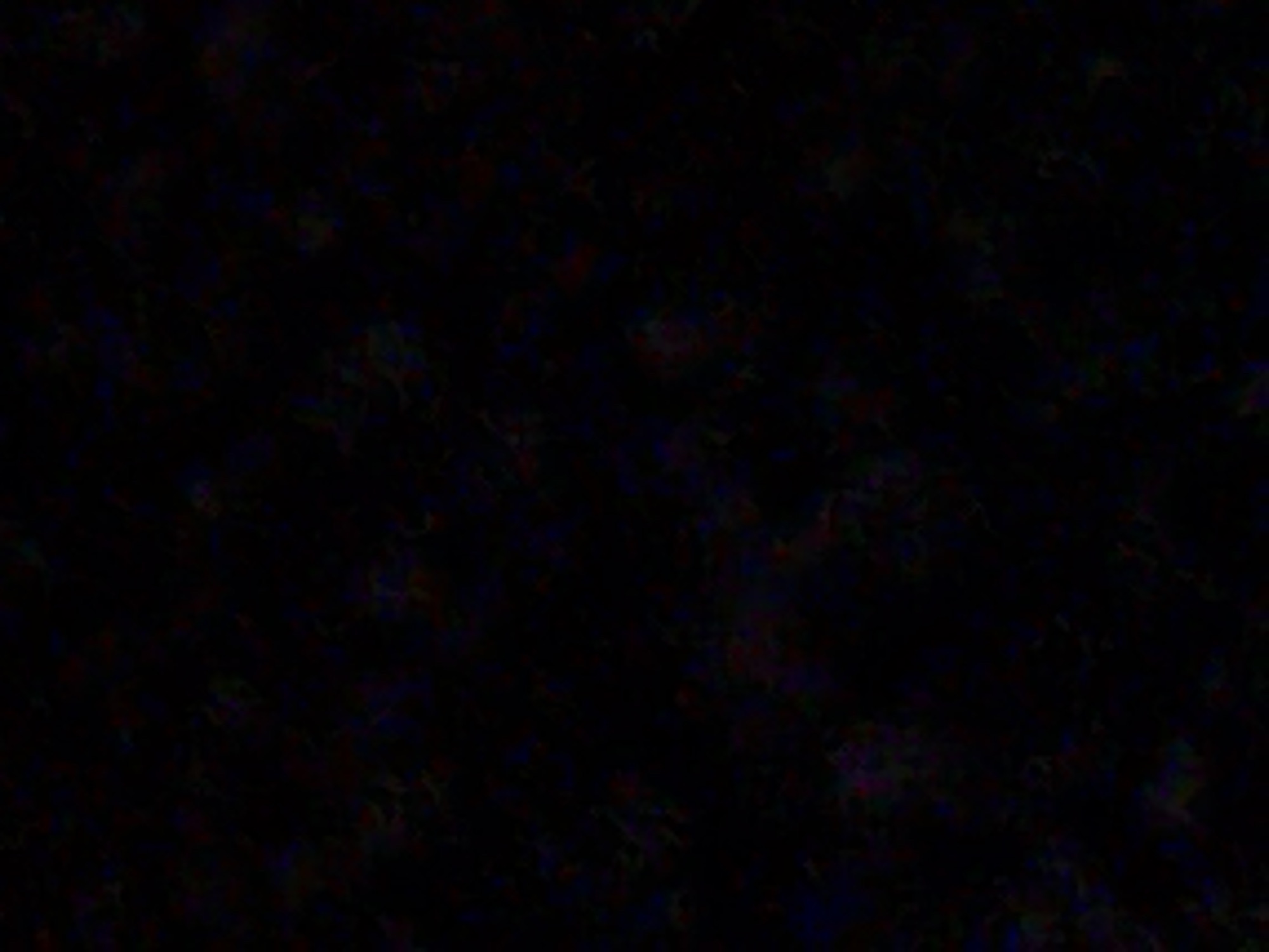 The image provided is extremely dark and appears to be a low-resolution, noisy, or corrupted photograph with minimal discernible details. It is impossible to identify any specific location in Navbahor, Uzbekistan, or any people, subjects, objects, actions, interactions, or environmental features. The image is predominantly black with faint, abstract splotches of muted colors, which could be artifacts from digital noise or image degradation.