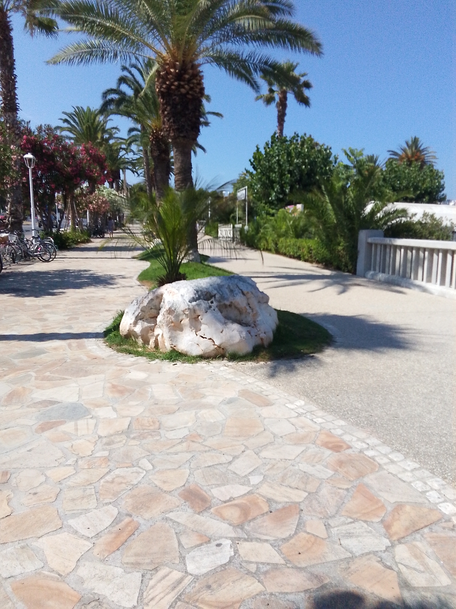 The image depicts a paved walkway in San Benedetto del Tronto, Italy, likely near the waterfront. The foreground features a textured pavement made of irregularly shaped, light-colored stones. To the left, a large, light-colored boulder with visible cracks rests on a patch of green grass. Beyond the boulder, a pathway continues, bordered by manicured green areas and palm trees. In the background, several palm trees are prominent, with one particularly large specimen in the center. A white railing with vertical balusters lines the right side of the walkway, separating it from a darker paved area. Further back, there are glimpses of white buildings and more dense foliage. A few bicycles are parked on the left side of the walkway. The sky is clear and blue. A shadow from a palm frond is cast across the walkway in the middle ground. No people are clearly visible, though there might be distant figures blurred by the image resolution.