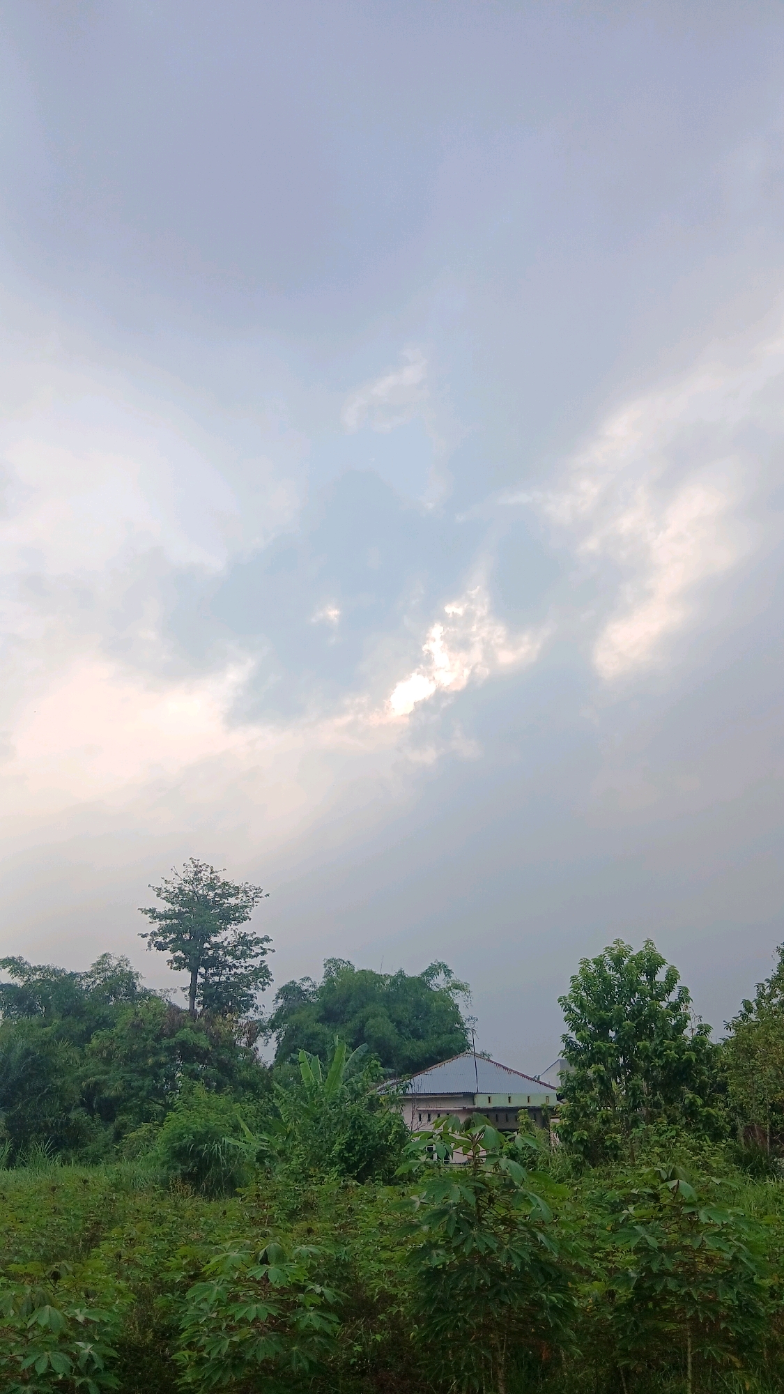 The image depicts a rural landscape in Hamparan Perak, Indonesia, dominated by lush greenery and a cloudy sky. In the foreground, a dense field of low-lying green plants, possibly cassava, covers the ground. Behind them, a variety of trees and bamboo thickets create a verdant backdrop. A single-story house with a metal roof, painted in light colors, is partially visible amidst the foliage on the right side of the frame. The sky above is overcast with scattered clouds, allowing some sunlight to filter through, creating a soft, diffused light. No people or animals are present in the scene.