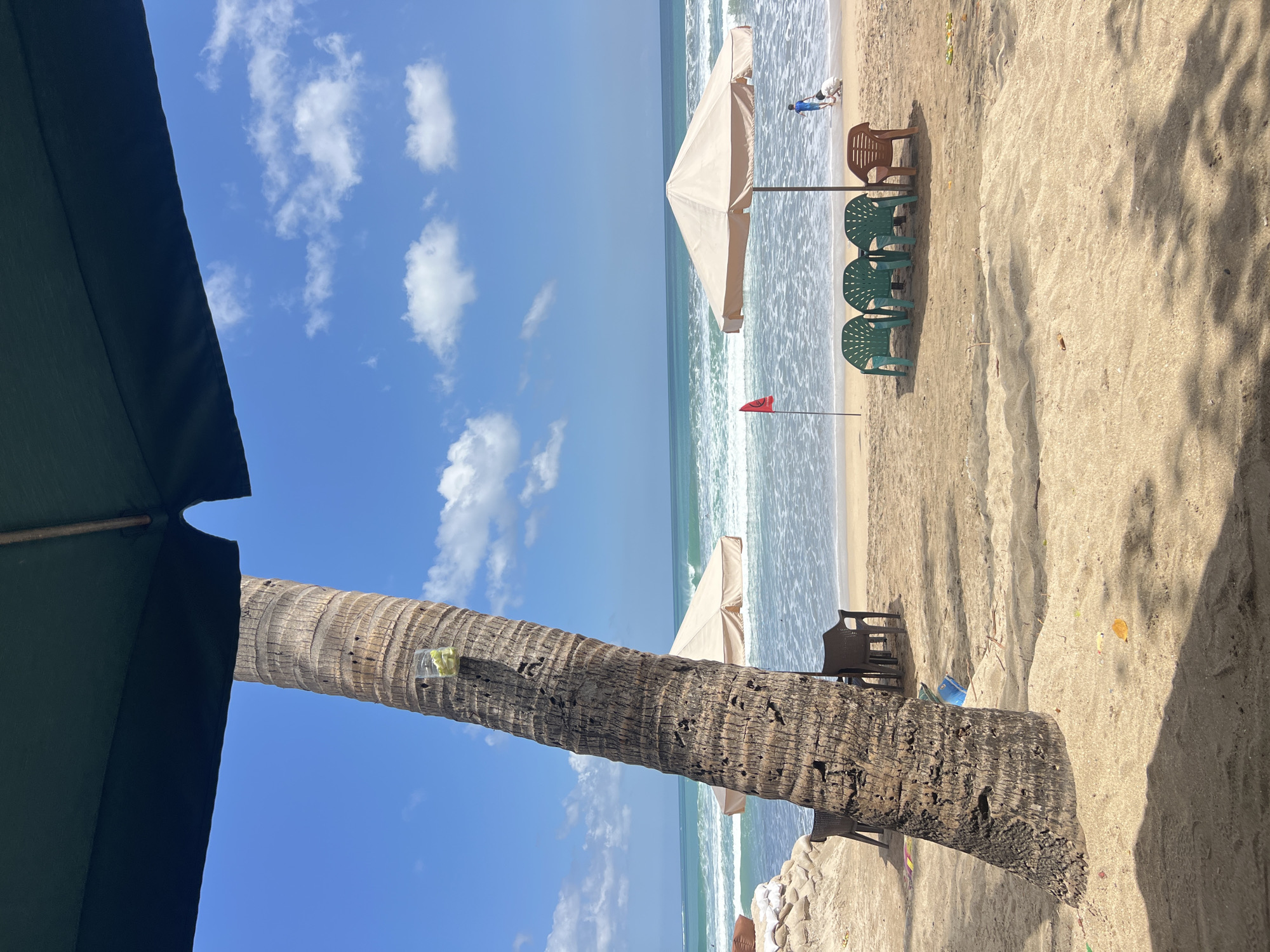 A palm tree trunk stands in the foreground, its rough bark textured and weathered. A clear plastic cup, containing what appears to be sliced fruit, is attached to the trunk. Beyond the tree, a sandy beach stretches towards the ocean, where gentle waves roll in. Two beach umbrellas are set up on the sand. One is a light tan color, providing shade over a row of four plastic chairs – three green and one brown. The second umbrella, partially visible behind the palm tree, is also a light tan. A red flag stands on a pole near the water's edge, possibly indicating a swimming safety warning. In the background, two young children are playing near the water. The sky is a vibrant blue, dotted with scattered white clouds. The scene is set in Kuta, Bali, Indonesia, a popular beach destination known for its surf and lively atmosphere.