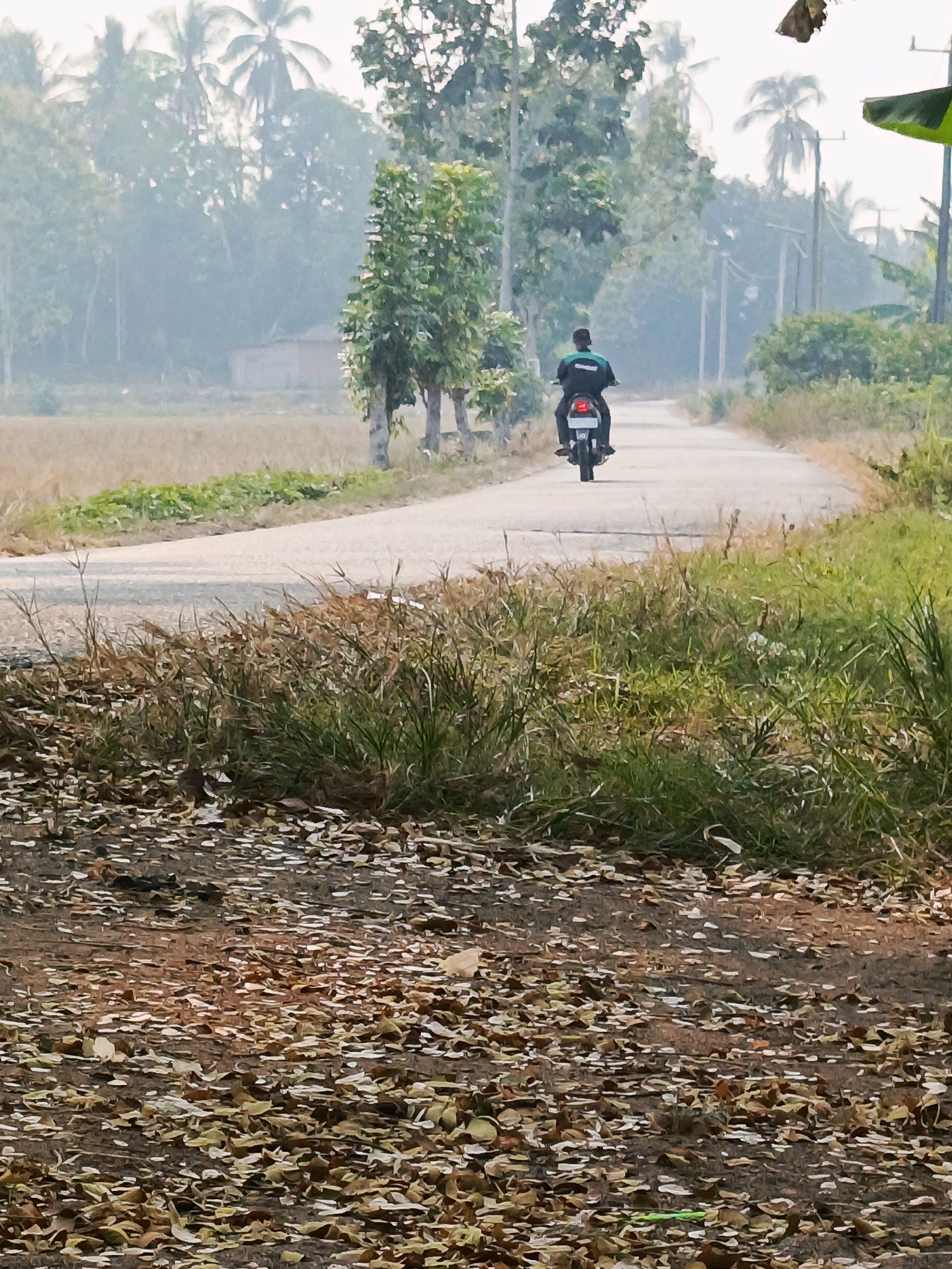 A person is riding a motorcycle on a paved road in a rural area, possibly in the city of Megang Sakti II, Indonesia. The road is flanked by dry grass and fallen leaves on the left, and greener vegetation and trees on the right. In the background, there are more trees and some mist or haze, with what appears to be a small building. The sky is overcast. The motorcycle has a red taillight and the rider is wearing a dark jacket with a green stripe.