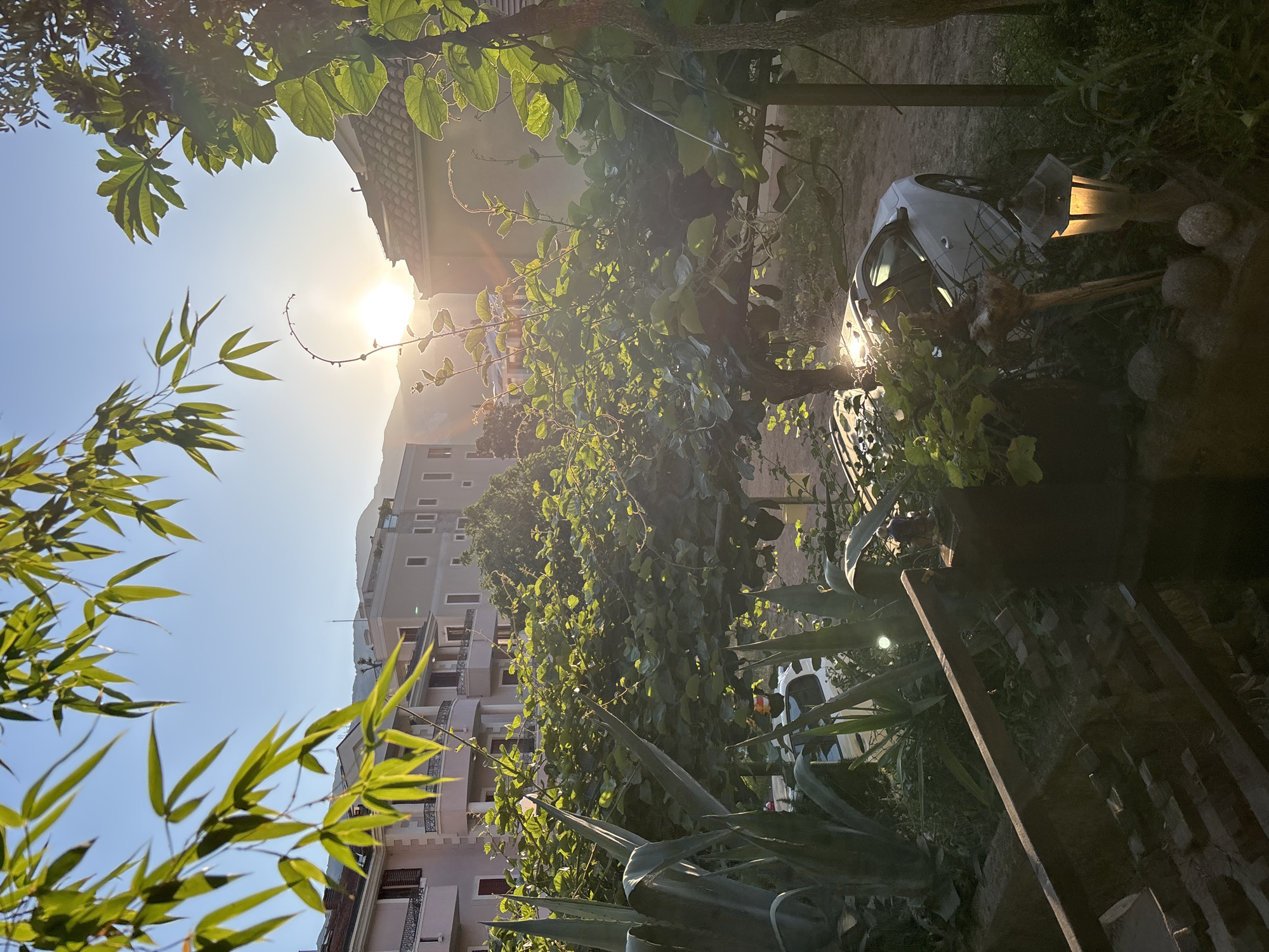 The image depicts a sun-drenched outdoor scene with lush greenery in the foreground, framing a view of buildings and mountains in the distance. The sun is setting or rising, casting a warm glow and lens flares across the image. In the foreground, large, spiky agave plants are visible on the left, while a dense canopy of leafy vines, possibly kiwi or grape, covers the center. A white car is parked partially obscured by the foliage, with its windshield reflecting the sunlight. To the right, a rustic outdoor lamp with a lit bulb sits amongst stones and more greenery. In the background, several multi-story buildings with balconies and tiled roofs are visible, suggesting an urban or semi-urban setting. Mountains form the backdrop, bathed in the soft light of the sun. The overall impression is one of a peaceful, tranquil moment captured during golden hour.