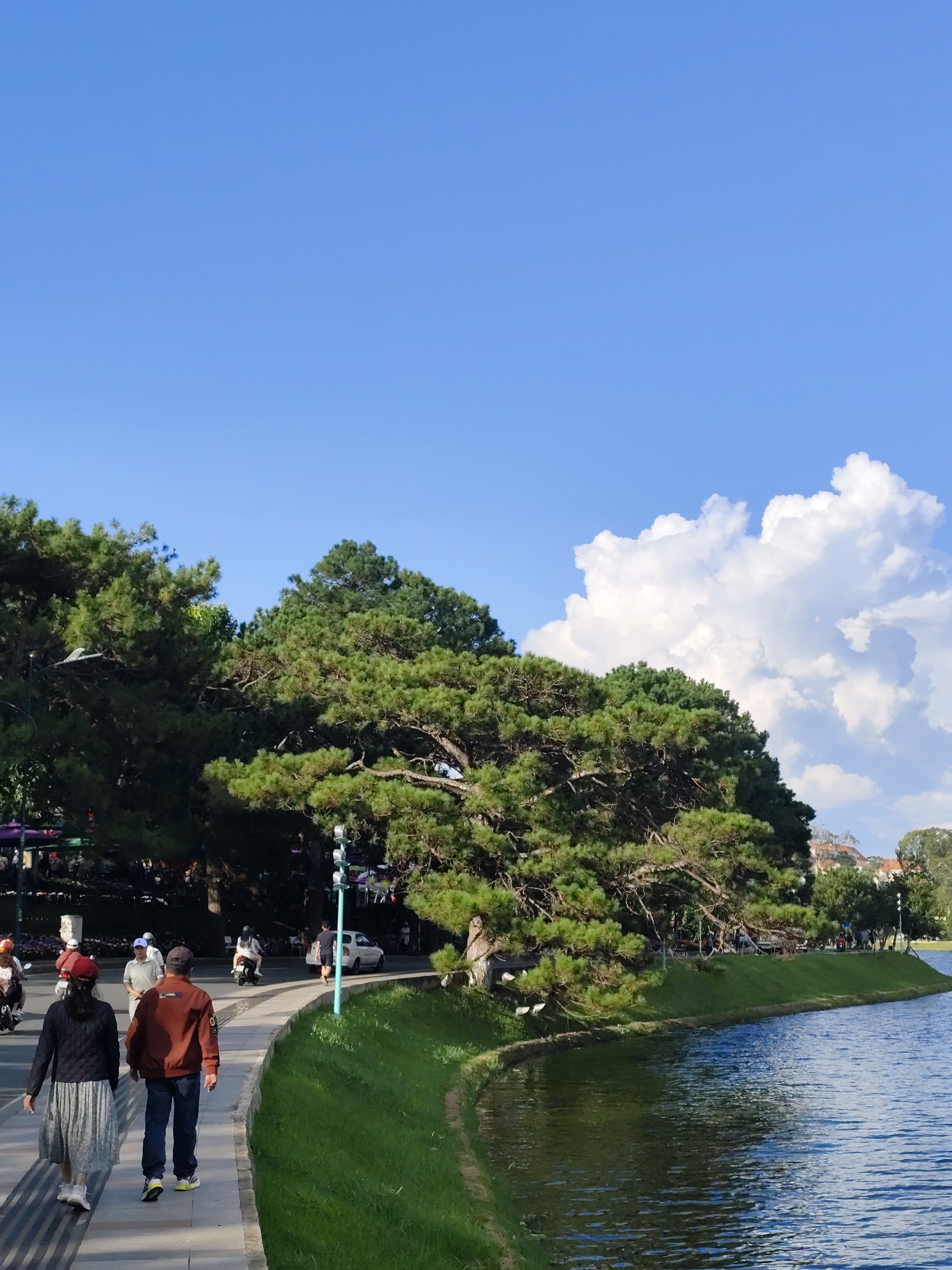 A full shot captures a waterside promenade on a sunny day with a clear blue sky and fluffy white clouds. In the foreground, a couple walks away from the viewer on a paved sidewalk beside a lush green grassy bank. The woman wears a dark quilted jacket and a light-colored pleated skirt, while the man is dressed in a brown bomber jacket and blue jeans. Behind them, several people on motorcycles and a white car are visible on the road bordering the promenade. Towering pine trees with dense green foliage line the path, creating a scenic backdrop that extends to the edge of the frame. The tranquil blue water of a lake or river reflects the sky and trees on the right side of the image.
