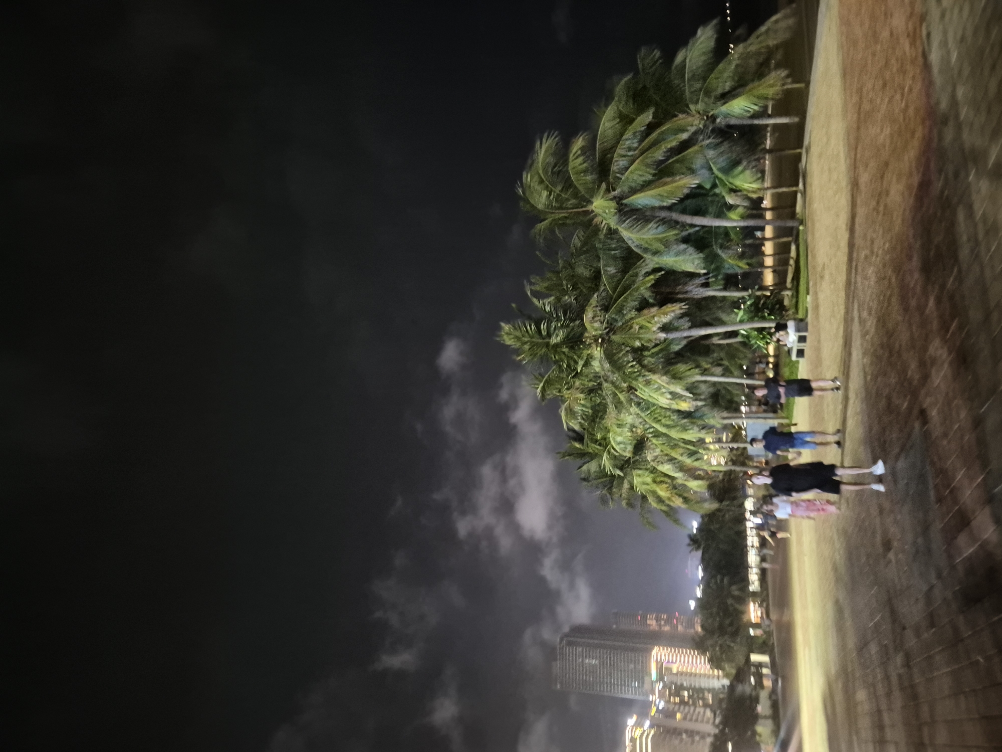 The image shows a nighttime scene in Đà Nẵng, Vietnam, likely along the beachfront promenade, with the city skyline in the background. Several people are walking on a paved walkway. In the foreground, there is a man in a black t-shirt and shorts, and a woman in a white top and a long patterned skirt. Further back, another man in a blue t-shirt and shorts is visible, along with a man in a dark shirt and shorts. A group of palm trees forms a prominent element in the mid-ground. In the background, tall buildings with illuminated windows indicate the urban environment of Đà Nẵng. The sky is dark and cloudy.