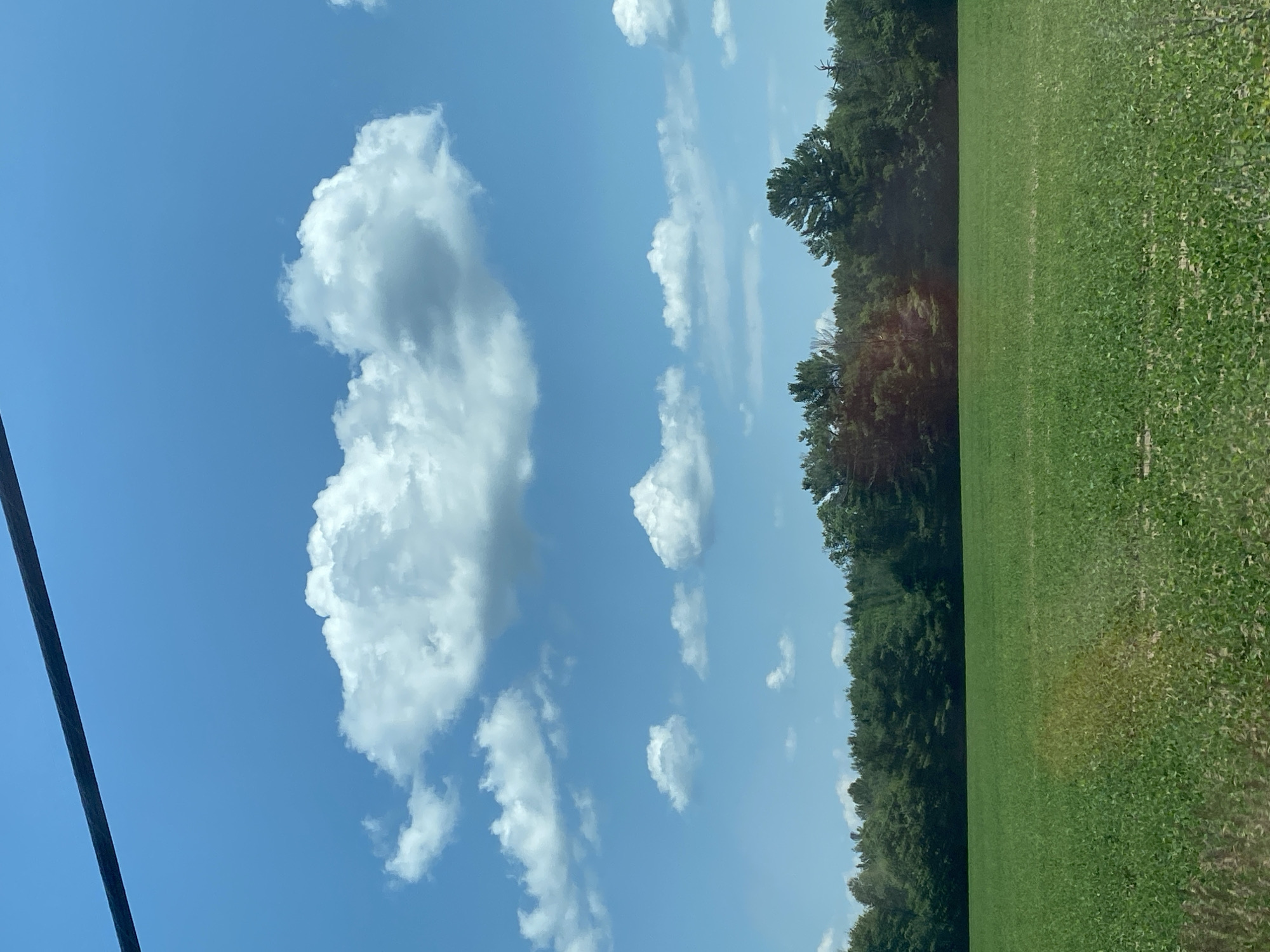 The image shows a bright blue sky with fluffy white clouds. A dark line, likely a power line or telephone wire, stretches across the top of the frame. Below the sky, a dense line of green trees forms a horizon. In the foreground, a vast, flat green field stretches out, appearing to be a cultivated crop, possibly soybeans, due to the small, uniform leaves. The lighting suggests it is daytime, with the sun casting shadows on the field and highlighting the textures of the clouds. The scene depicts a rural or agricultural landscape.