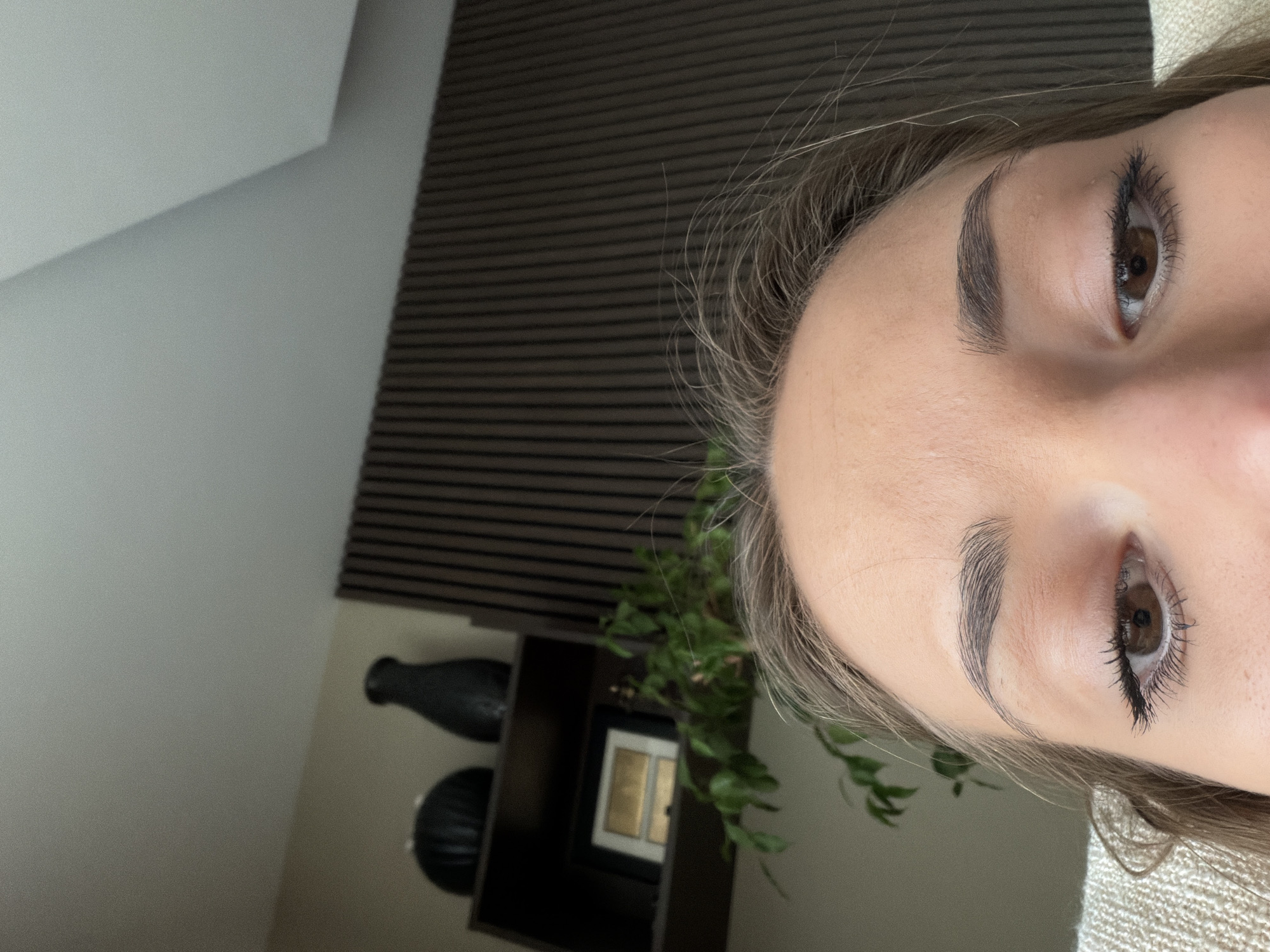 A close-up shot focuses on the upper portion of a person's face, predominantly featuring the eyes, eyebrows, and forehead. The person has light skin, brown eyes, and well-defined eyebrows. The background reveals a modern interior with a wall decorated with horizontal wooden slats. A shelf unit is visible, displaying decorative objects like a black vase and a framed picture, accompanied by a green plant. The photograph does not contain enough information to verify its location in the city of Buhovo, Bulgaria.