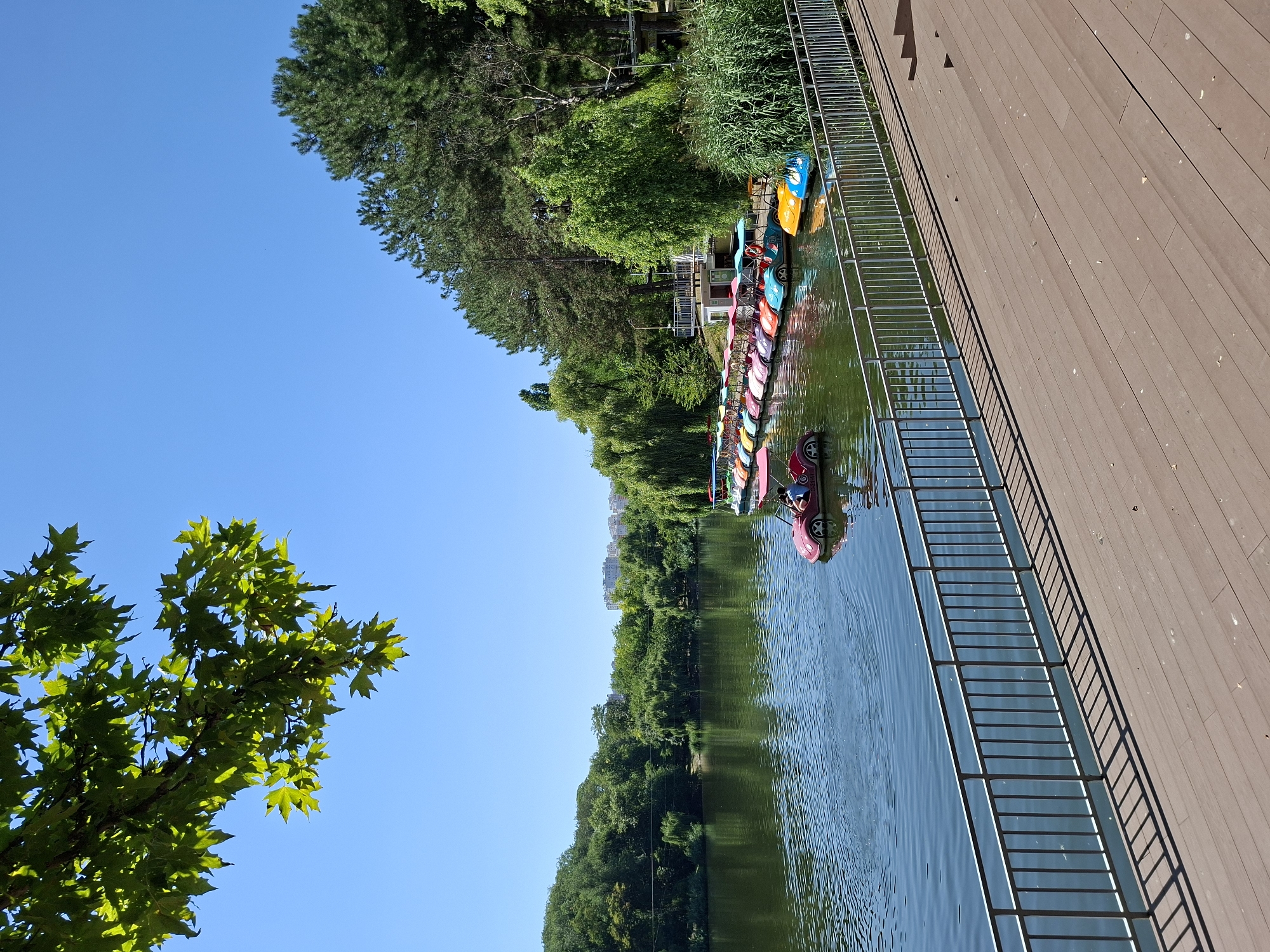 The image depicts a sunny day at a park lake in Chișinău, Moldova, likely in the Dendrarium Park. A wooden boardwalk runs along the foreground, bordered by a metal railing. The lake is calm, with ripples reflecting the blue sky. Along the far bank, a row of colorful pedal boats, shaped like cars and swans, are docked. One red pedal boat is in the water, with two individuals on board. Lush green trees and foliage line the lake, with buildings visible in the distance behind the trees. The sky is clear and bright blue, with a few leaves from a tree hanging into the frame from the top left.