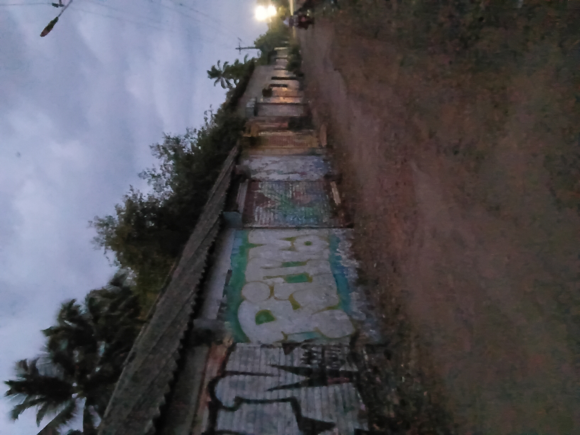 The photograph depicts a dimly lit street in Oxel, India, taken during twilight or early evening. On the left side of the frame is a weathered wall covered in graffiti, which extends into the distance, following the curve of the road. The graffiti includes a mix of colors, with prominent white and green elements, and appears to be layered over time. To the left of the wall are trees and vegetation. On the right side of the frame is a dirt road or path, fading into shadow. A streetlight is visible in the distance, illuminating the street ahead. A distant figure on a motorized vehicle is on the road. The sky is overcast.