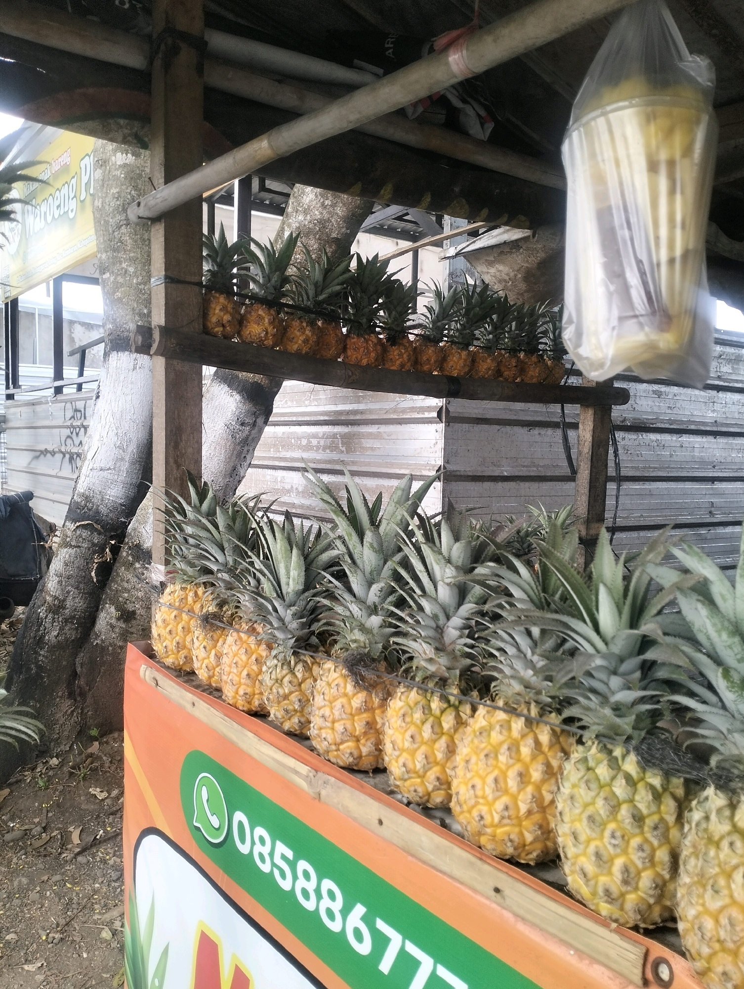 A roadside stall in Sokaraja, Indonesia displays a bounty of fresh pineapples. The stall is rustic, constructed from wood and bamboo, with a corrugated metal roof and a textured, light-colored wall behind it. A yellow banner with Indonesian text, possibly advertising "Waroeng P...", hangs on a wooden post to the left.
In the foreground, a row of ripe, golden pineapples with green tops are neatly arranged on a wooden shelf. Behind them, another row of pineapples is visible. To the right, a clear plastic bag containing what appears to be sliced pineapple or juice is suspended from the ceiling. The ground is covered with dry leaves and dirt. A sign with a green band features the WhatsApp logo and the number "085886777", indicating a contact for sales. The overall scene is one of a fresh produce vendor operating in an outdoor urban environment.