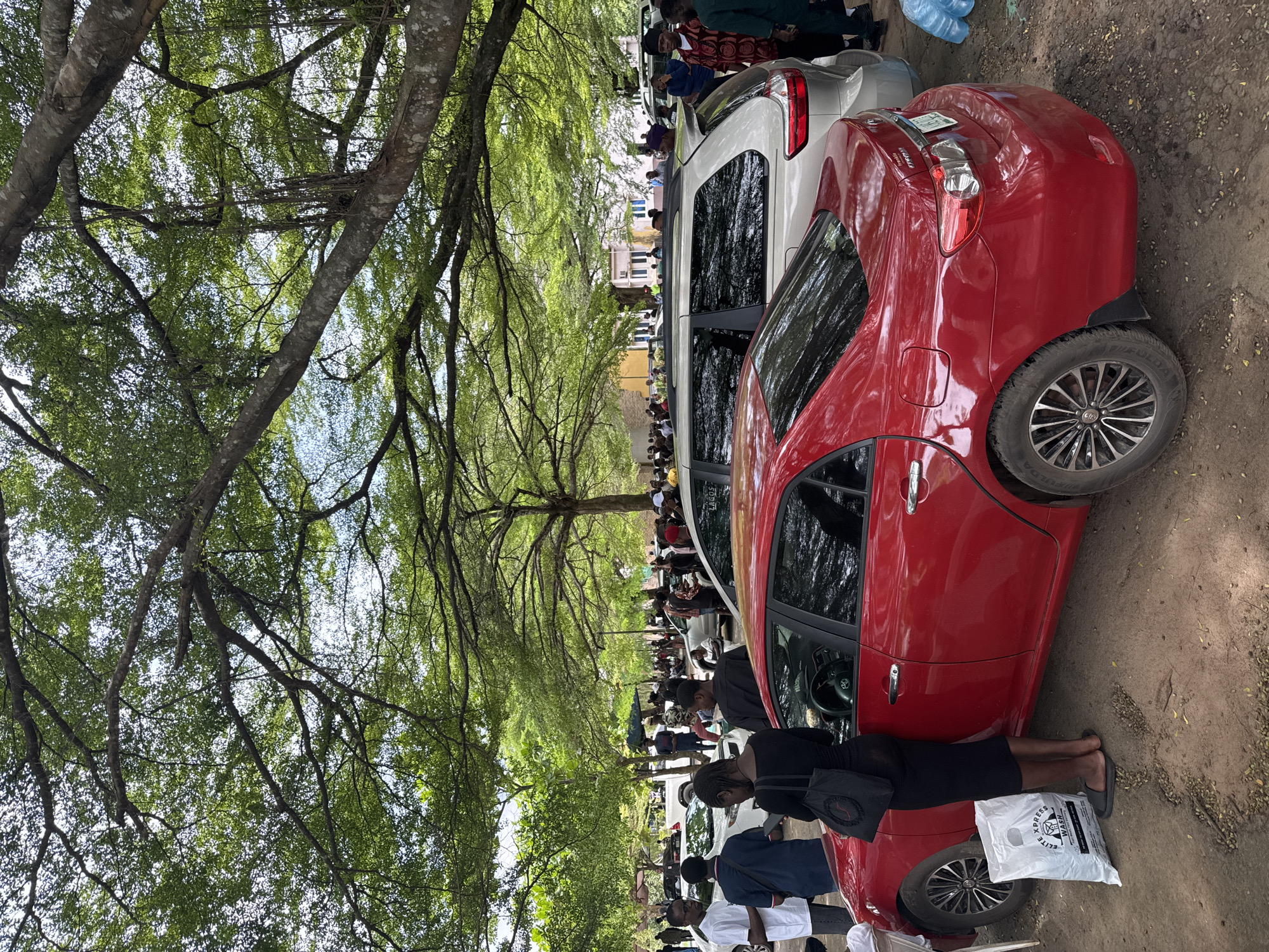 The image shows a daytime scene in Eziobo, Nigeria. A crowd of people is gathered under a large tree with dense foliage. Several cars are parked along the side of the road, including a red Toyota sedan and a white SUV. A woman dressed in a black dress and carrying a black handbag stands near the red car, holding a white plastic bag with the words "EXPRESS WASH" printed on it. The ground is covered in dirt and scattered leaves. The background shows buildings and a street with more people.