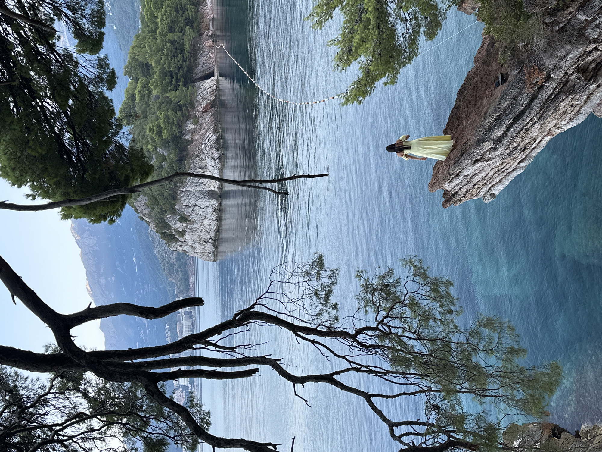 A woman in a yellow dress stands on a rocky outcrop overlooking a calm, blue sea. The outcrop is positioned in the foreground to the right of a pine tree with prominent branches that extend from the left side of the frame. In the background, a rocky island covered in lush green trees is visible, with distant mountains and buildings. The water is clear and transitions from a deep blue to turquoise near the shore. A thin, white marker buoy line extends across the water in the middle ground. The scene appears to be taken at Sveti Stefan, Montenegro, likely from a vantage point that offers a panoramic view of the coastline.