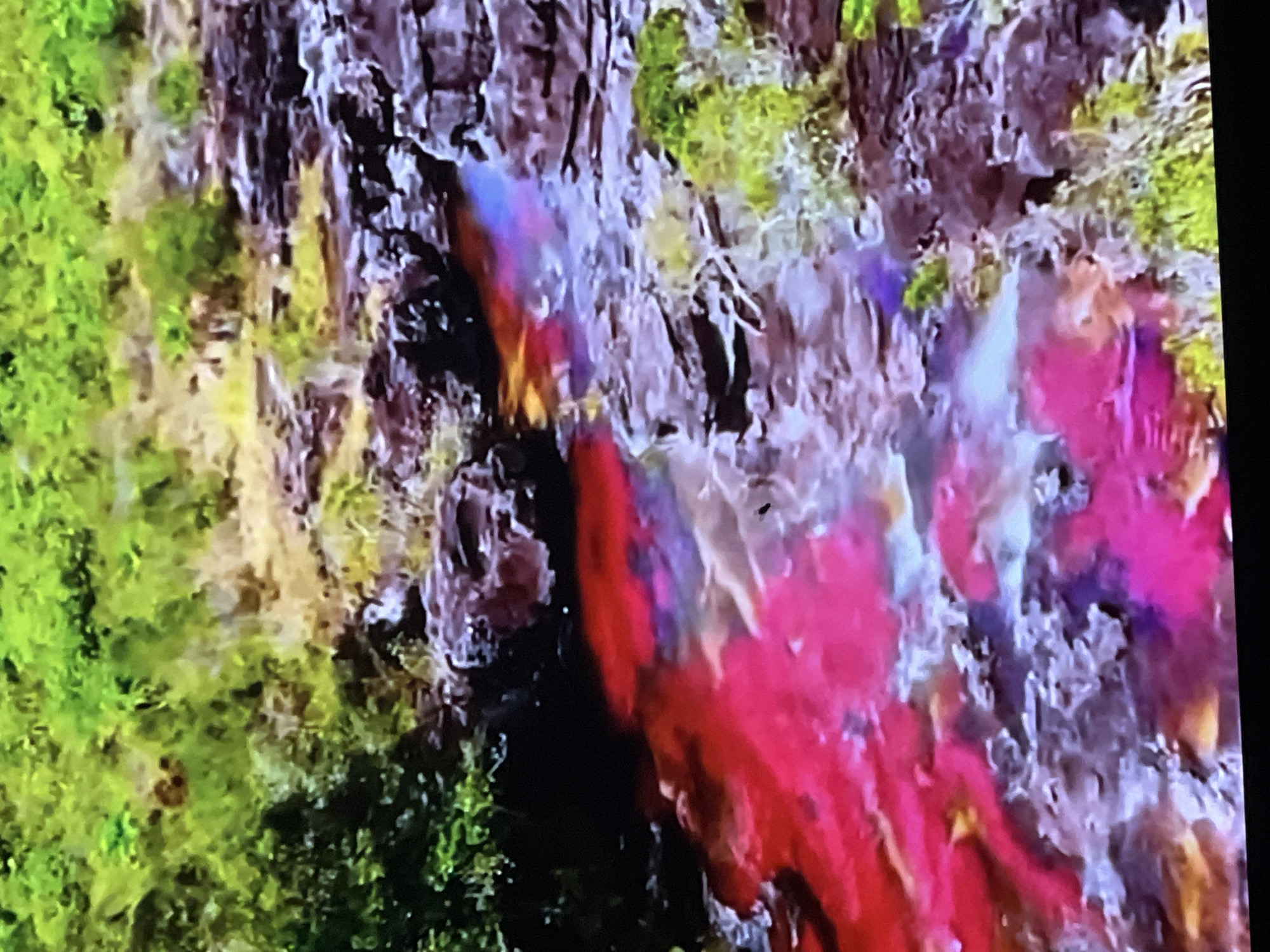 The image depicts a vibrant, multi-colored river flowing through a rocky landscape with lush green vegetation on the banks. The water displays striking hues of red, pink, purple, and yellow, suggesting the presence of mineral deposits or aquatic plants. The riverbanks are characterized by dark, rugged rocks and patches of green foliage. The scene is natural and appears to be a natural wonder. There is no indication of any urban environment, people, or specific structures that would place it within the city of Casablanca, Morocco. The image captures a geographical feature rather than a cityscape.
