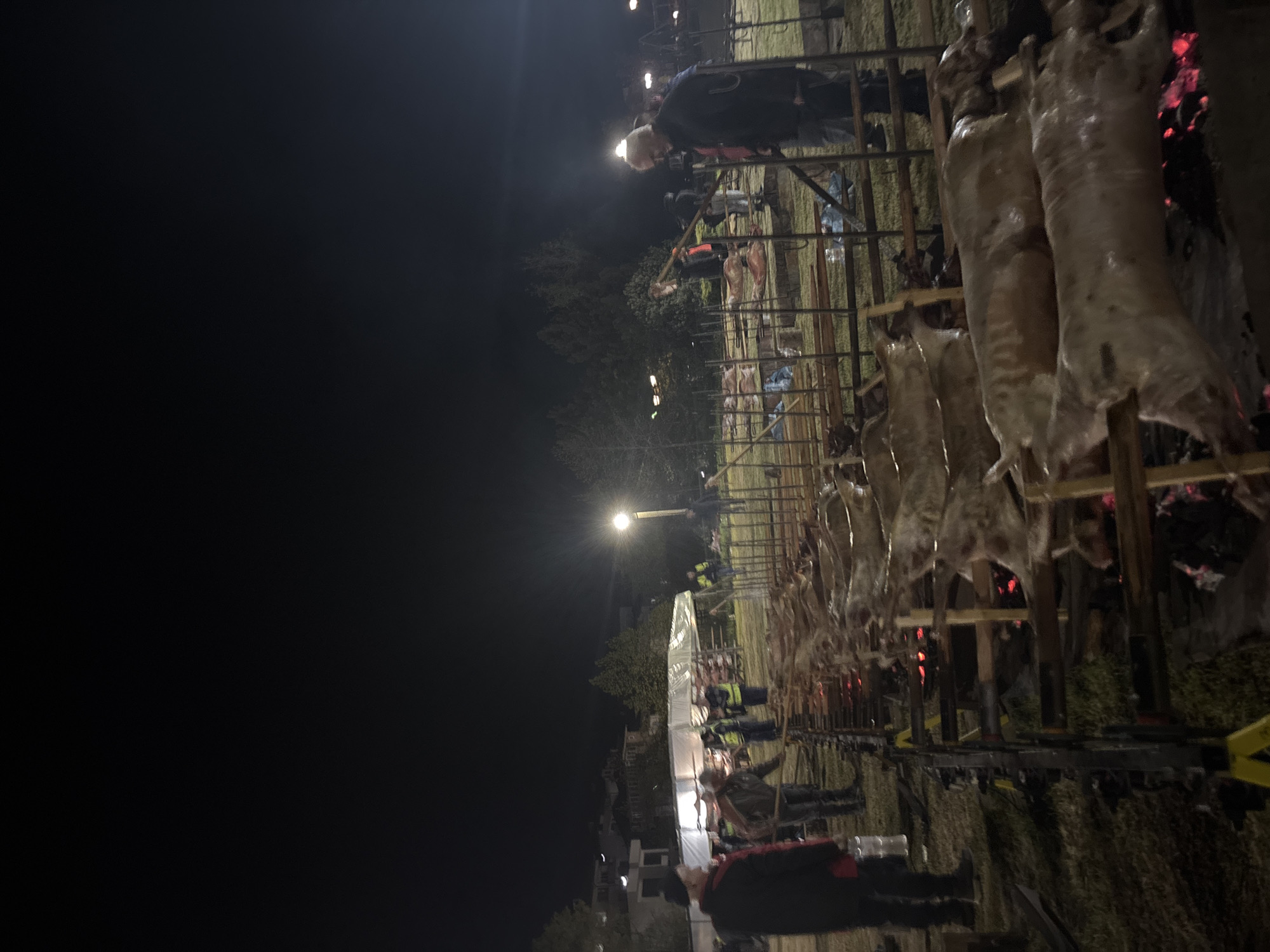 The image depicts a nighttime event in Zlatograd, Bulgaria, involving the roasting of numerous animal carcasses on vertical spits. Several individuals are present, some tending the fires or observing the cooking process. Structures are visible in the background, possibly buildings within Zlatograd. Illumination is provided by overhead lights and the fires used for roasting.