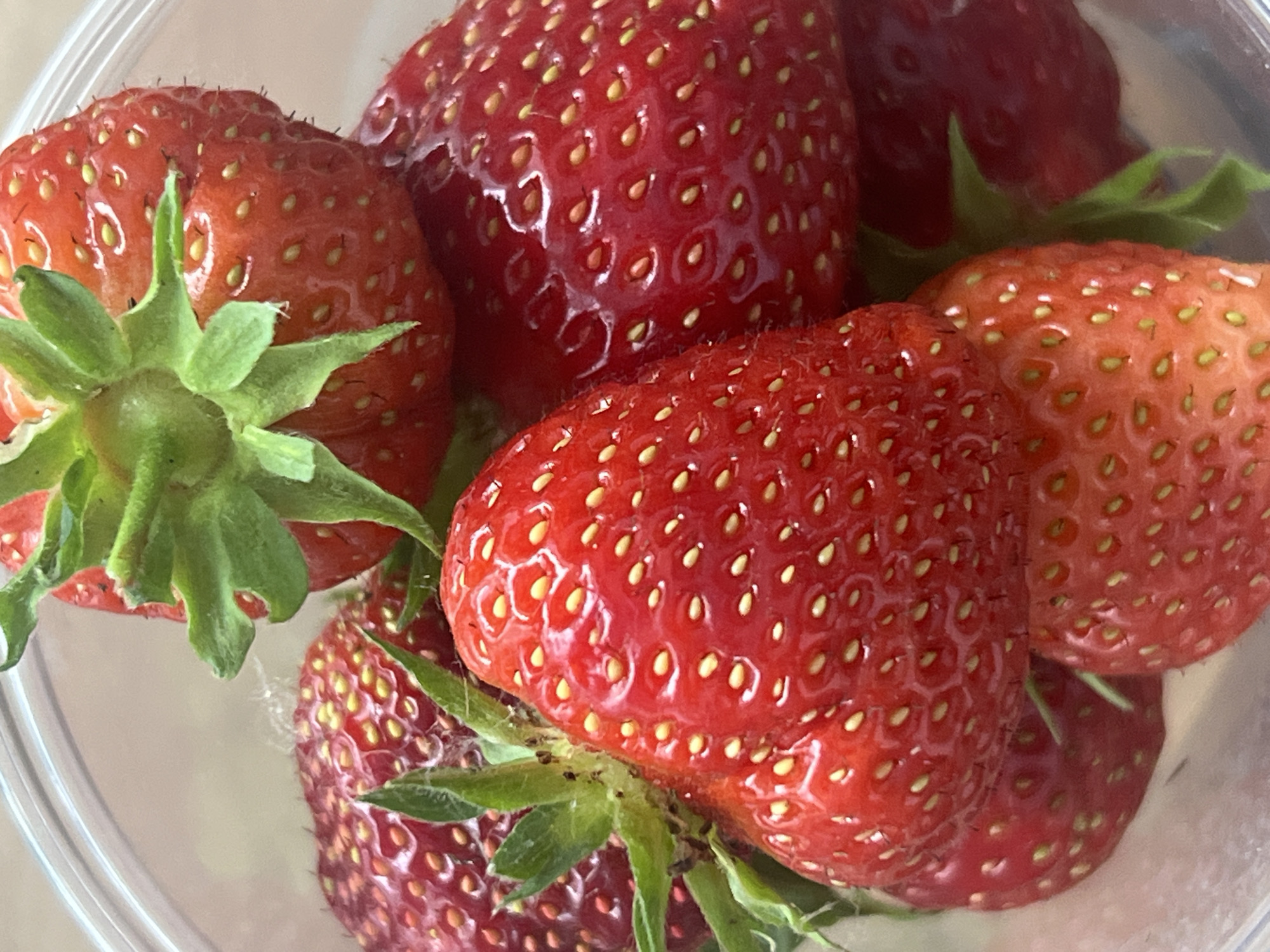 The image shows a close-up view of several ripe strawberries in a clear plastic container. The strawberries are a vibrant red with visible seeds on their surface. Some have their green leafy tops still attached. The lighting suggests it could be daytime, with soft illumination reflecting off the glossy surface of the fruit. The setting appears to be indoors, likely a kitchen or a place where food is stored. The focus is entirely on the strawberries, highlighting their texture and color. There is no visible text in the image, nor are there any people or animals. The overall impression is one of fresh, ripe fruit.