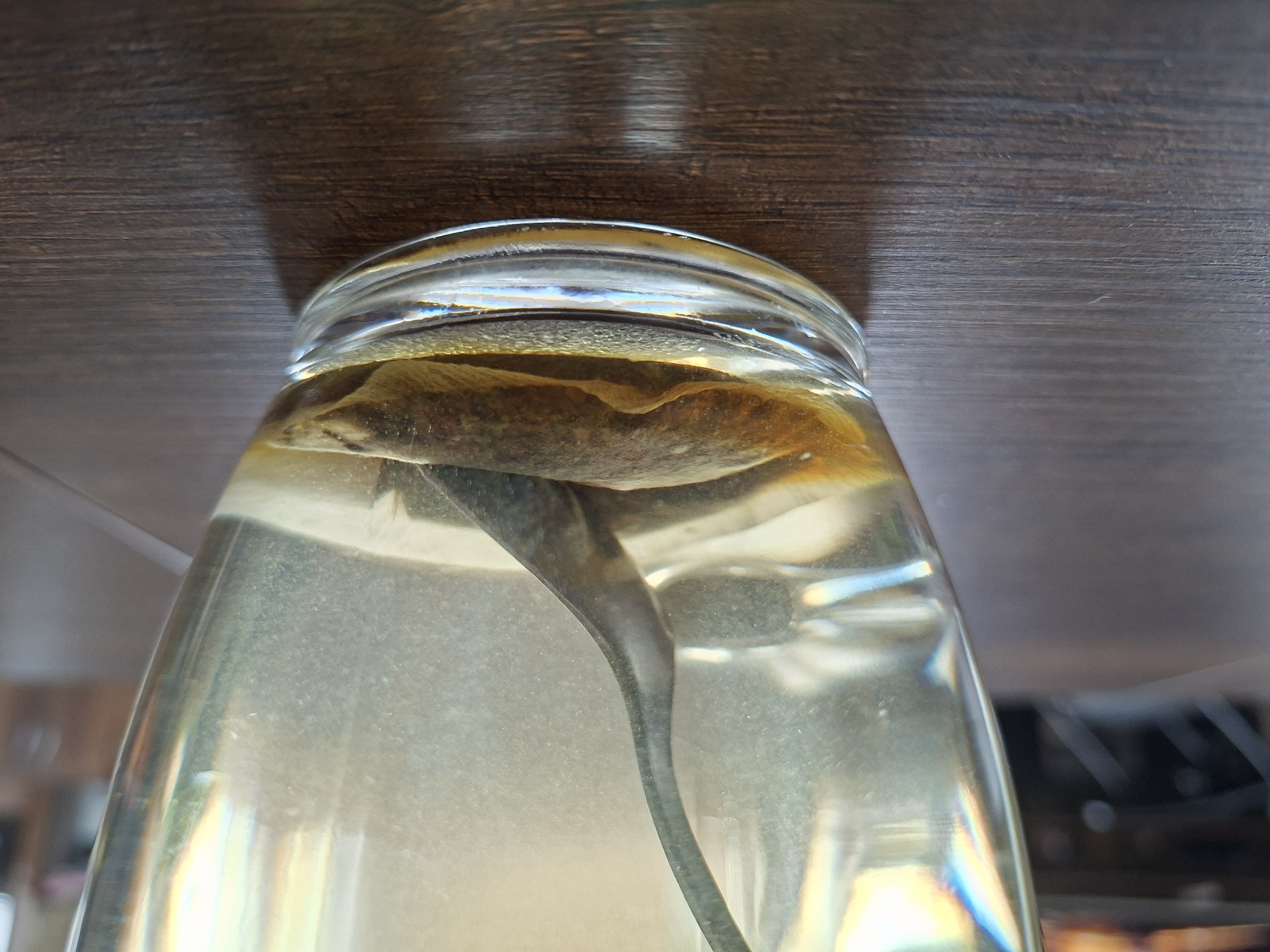 A glass of tea sits on a wooden table, its contents partially obscured by reflections. A dark-colored tea bag rests at the bottom of the glass, submerged in the amber liquid. A spoon, also dark, is partially immersed in the tea, its curved handle visible above the surface. The glass itself is clear and cylindrical, with a thick base. The wooden table has a dark, textured finish. The background is out of focus, with hints of light and color that suggest an indoor setting. No people are visible in the image. The lighting appears to be ambient, with some specular highlights on the glass.