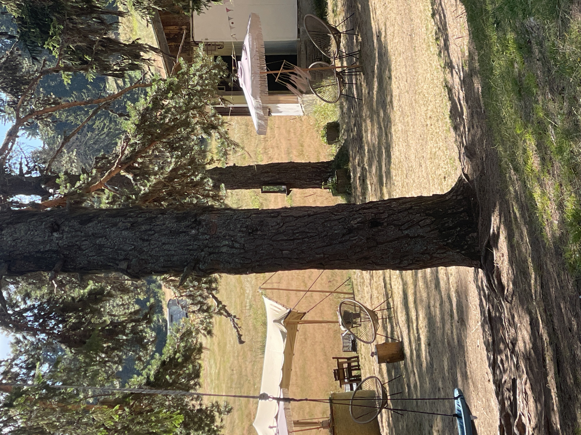 This image depicts an outdoor seating area in a wooded environment, possibly a campground or a resort, near the city of Smolyan, Bulgaria. In the foreground, a large tree trunk dominates the left side, with its roots exposed. To the left of the tree, a blue swing hangs from a rope, partially obscured by branches. In the middle ground, there are several wicker chairs and a small table, set on a dry, grassy ground. Behind these chairs, a large canvas tent is erected, supported by wooden poles. Further in the background, a building with a white facade and wooden accents is visible, with a pink fringed umbrella providing shade over a hammock-like structure. The surrounding landscape is characterized by dry grass and distant pine trees, suggesting a warm, sunny day. There are no people visible in the scene.