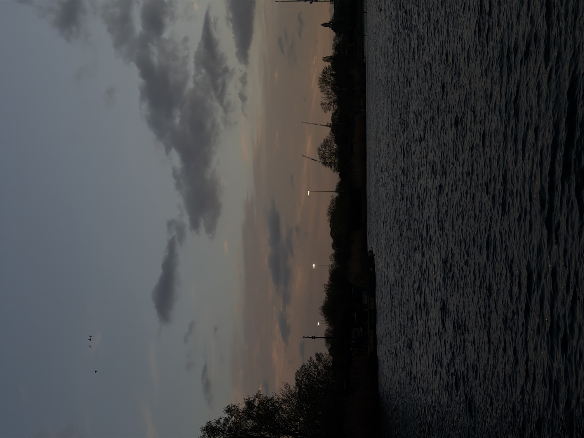 The image depicts a body of water reflecting a dusk sky with clouds. The water's surface is textured with ripples. In the background, a silhouette of trees lines the horizon, punctuated by lampposts and what appears to be construction cranes. A few birds are visible in the sky. The scene appears to be in London, United Kingdom. The presence of the water and the silhouette of the trees suggests a park or riverside location.