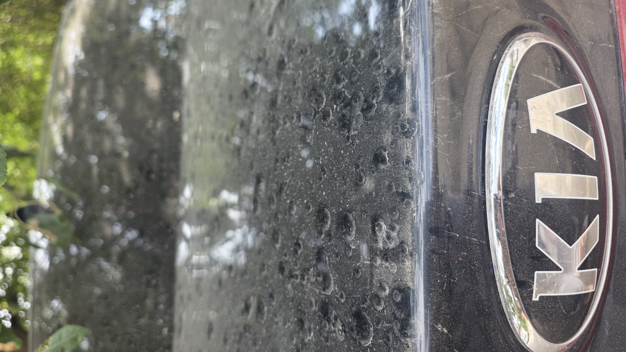 A close-up, eye-level, vertical shot focuses on the dusty rear emblem of a black Kia vehicle, parked outdoors in an urban environment. The emblem, a polished silver oval with the "Kia" logo in silver, is partially obscured by a layer of fine dust and what appear to be water spots or sap. The background is a blur of green foliage and dappled sunlight, suggesting the car is parked under trees. The dust on the car's surface indicates it has not been recently washed. The location is identified as Kara-Suu, Kyrgyzstan.