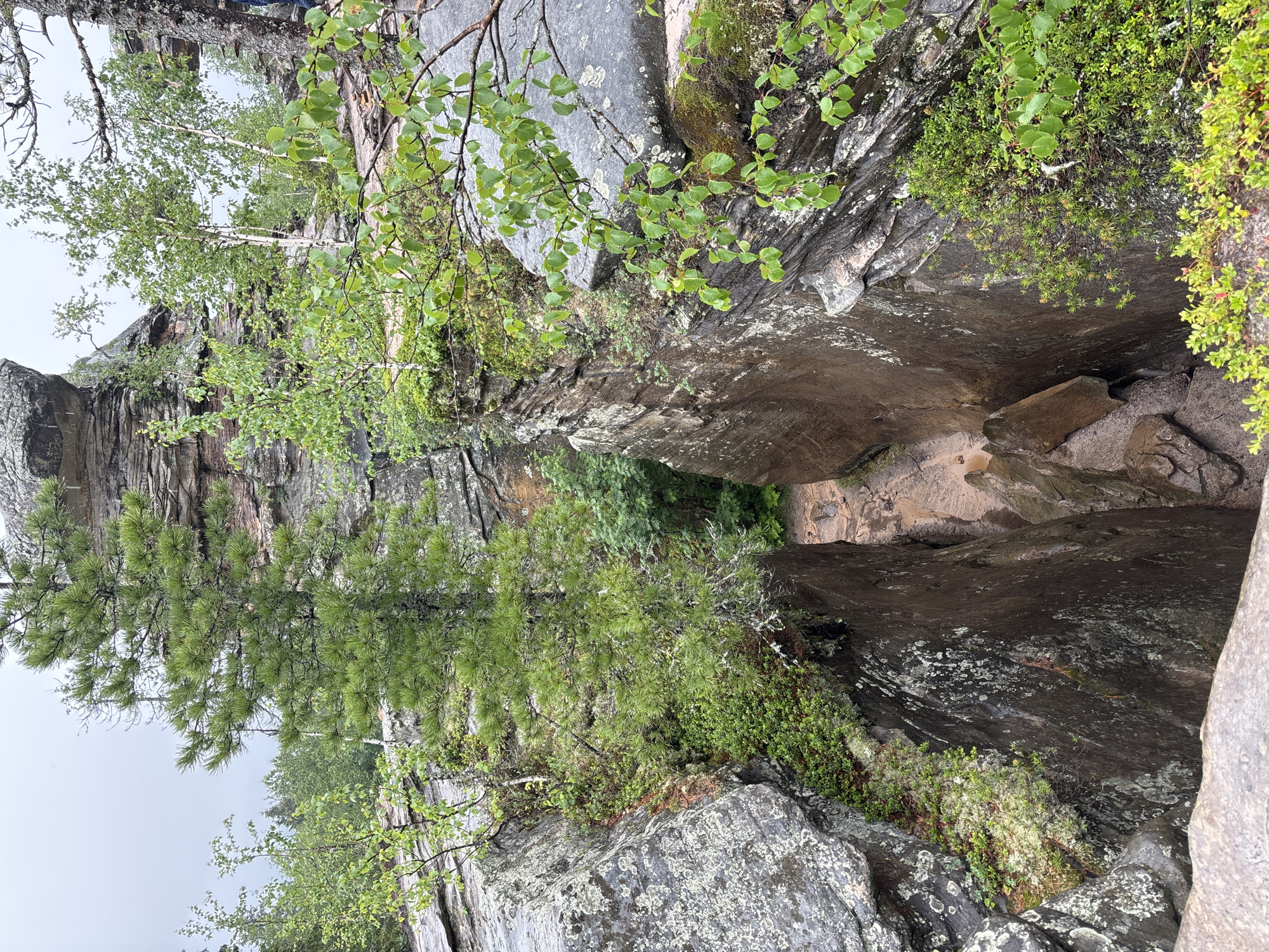 The image depicts a narrow canyon with sheer rock walls covered in moss and lichen. Green trees and bushes grow on ledges and at the top of the canyon. A rough path is visible at the bottom of the canyon. The sky is overcast, suggesting a cloudy day. The scene appears to be a natural geological formation. No people or specific structures are visible. The location in the city of Shumikhinskii, Russia is not identifiable from the image content itself.