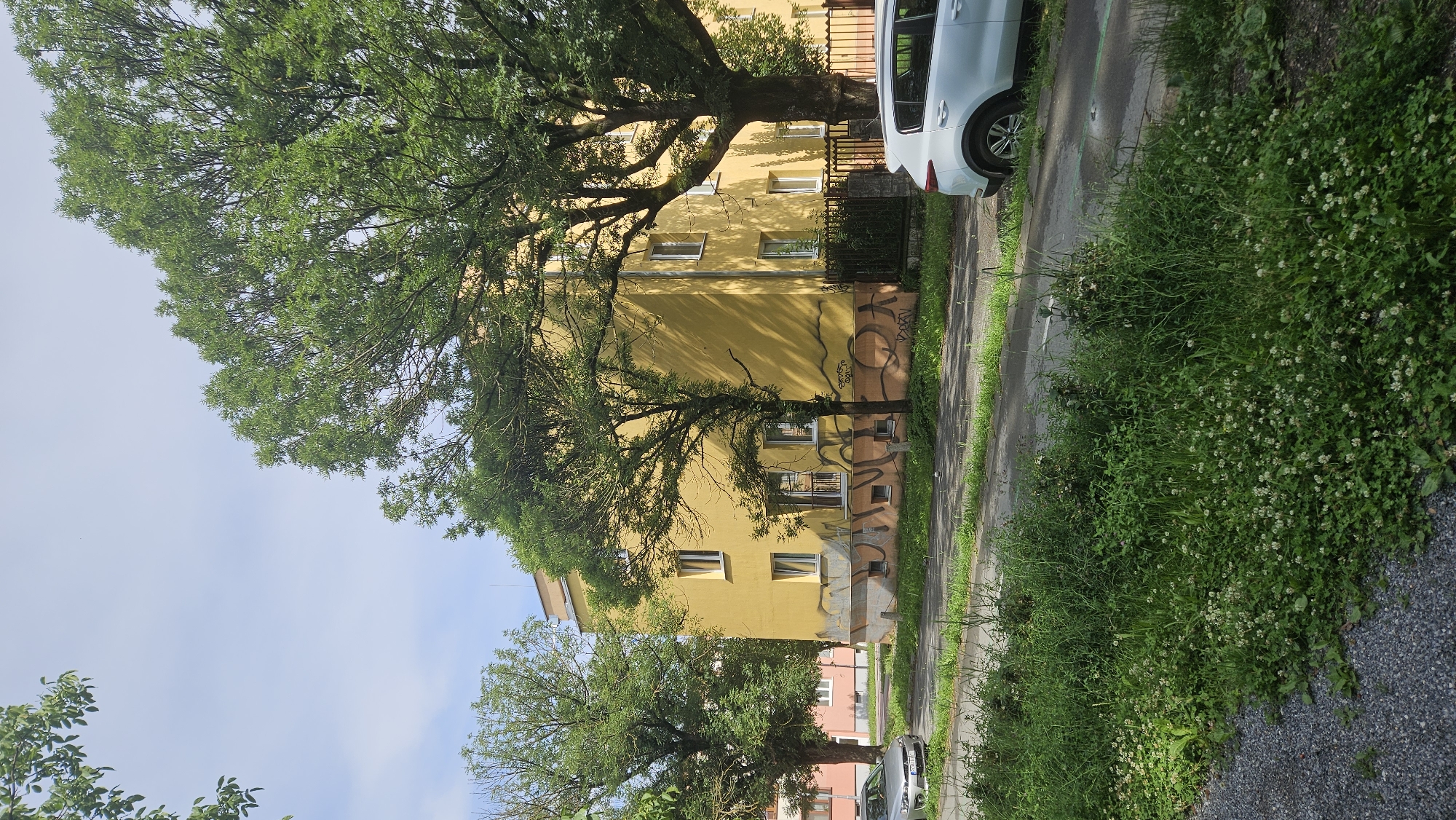 The image shows a yellow apartment building with graffiti on its lower facade, located on a street in Prešov, Slovakia. Large trees with green foliage partially obscure the building. A silver sedan is parked on the left side of the street, and a white SUV is parked on the right. The street appears wet in places, suggesting recent rain. The foreground is characterized by dense green grass and white clover. The sky is blue with some clouds.