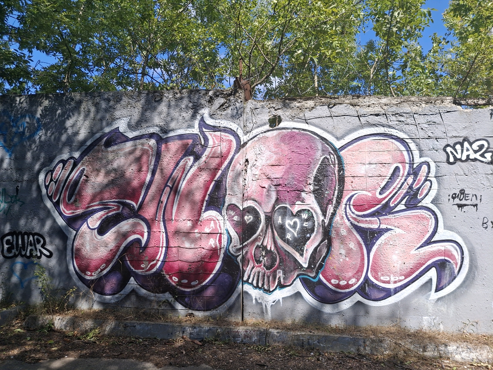 In this image, a graffiti piece covers a concrete wall. The graffiti features large, stylized lettering in shades of pink, purple, and white, with a prominent skull image integrated into the design. The skull's eye sockets are shaped like hearts, and there are smaller heart shapes within them. The wall itself is made of concrete blocks and shows signs of wear. Overgrown green trees with blue sky visible through their branches arch over the top of the wall. In the lower left portion of the image, the word "Elwar" is spray-painted in black and white. To the right of the main graffiti, the tag "NA2" is visible. The ground in front of the wall is covered with dirt, dry grass, and fallen leaves.