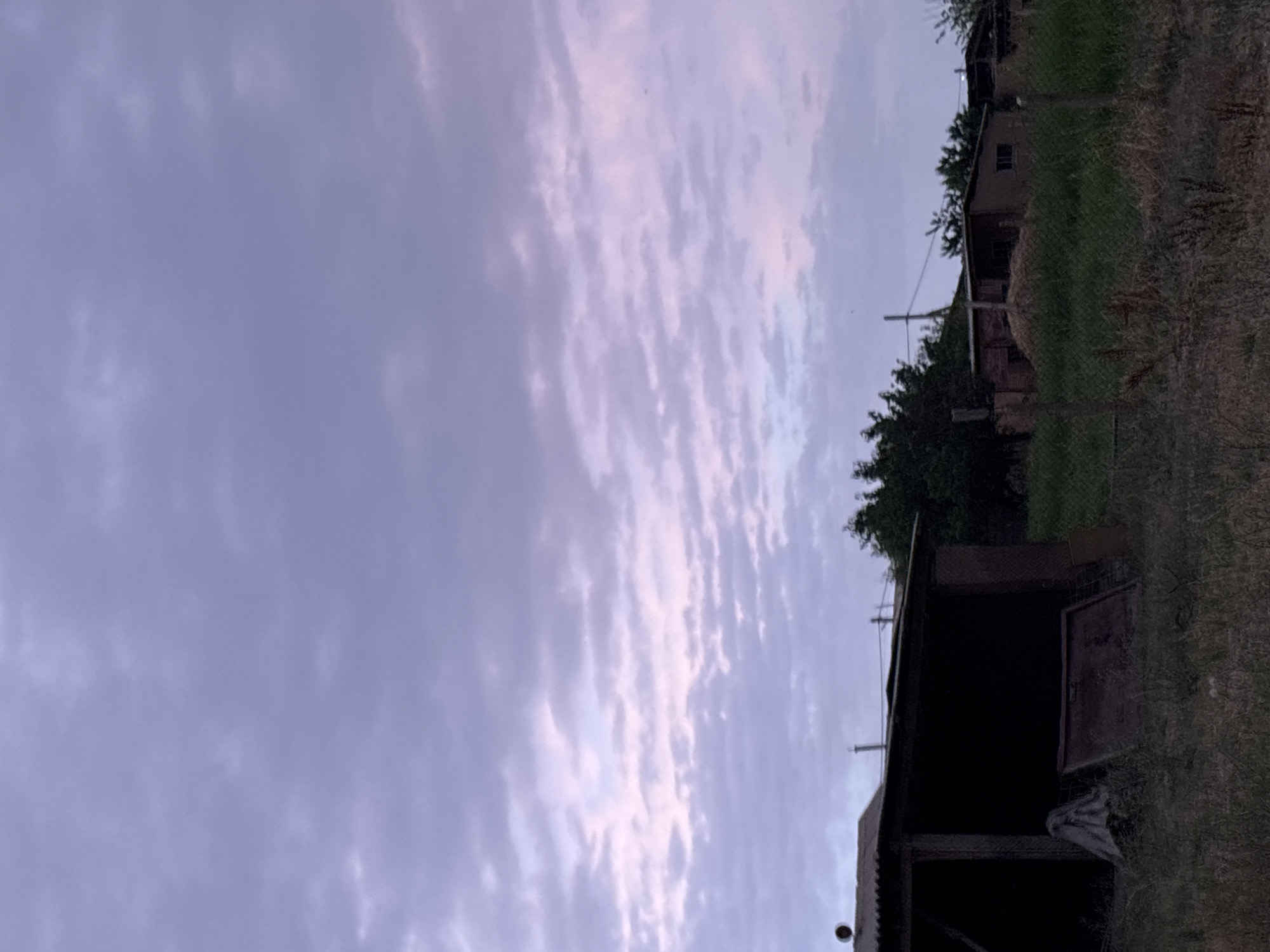 The image depicts an outdoor scene during twilight in the village of Zhibek Zholy rural district, Kazakhstan. In the foreground, dry grass and weeds are visible, with a rustic wooden structure on the left, possibly a shed or lean-to, its interior obscured by shadow. A piece of draped fabric and a metal frame are on the ground near the structure. A chain-link fence runs across the mid-ground, separating the immediate foreground from a grassy area. Behind the fence, several low-lying buildings with corrugated roofs and walls are present. Trees and foliage are scattered throughout the scene, with a denser cluster of trees behind the buildings. The sky above is filled with scattered clouds, exhibiting a mix of purples and pinks, indicating the transition from day to night. The overall impression is of a rural, somewhat weathered environment at dusk.