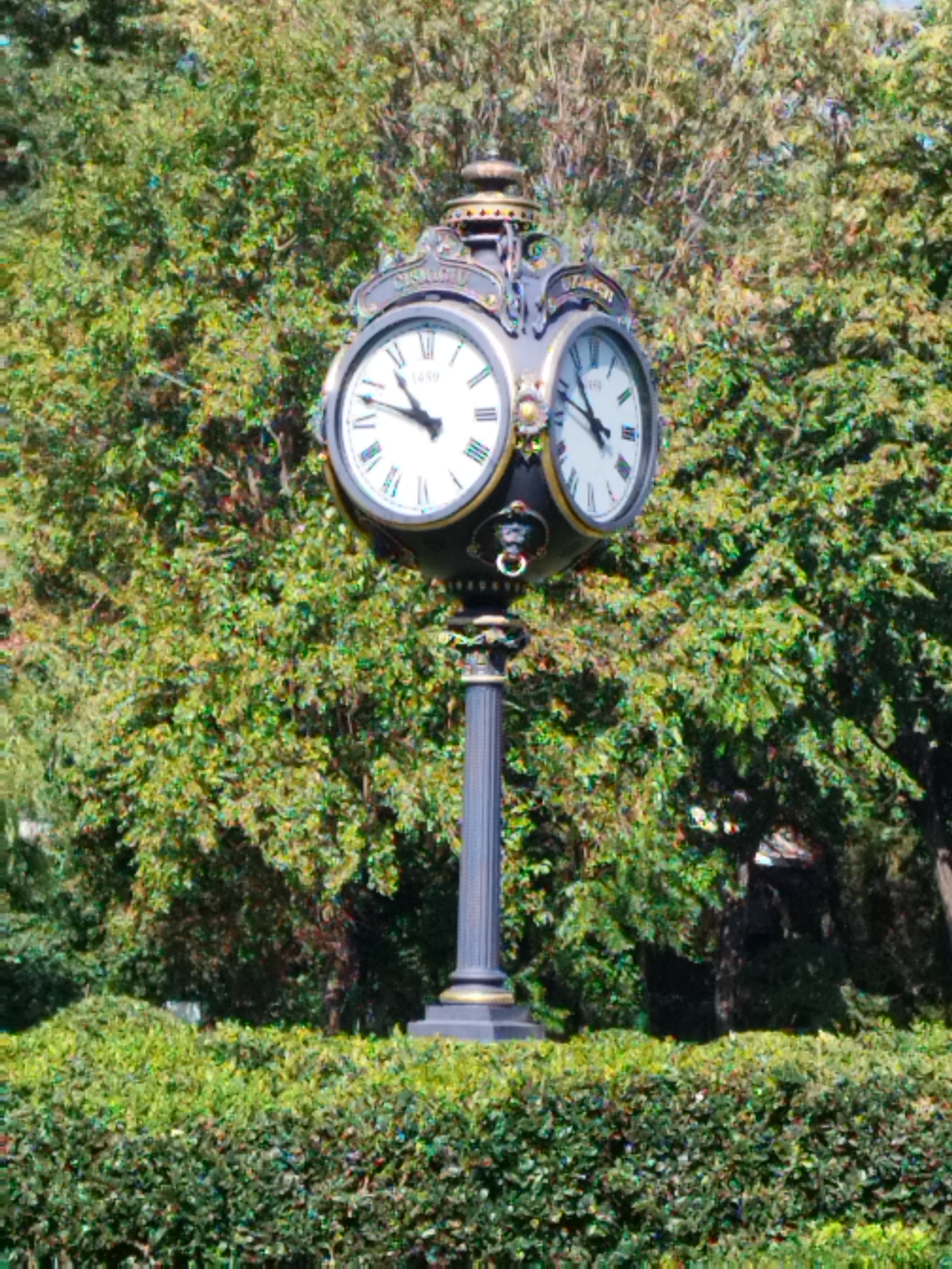A vintage double-faced clock stands on a fluted pedestal in a park, against a backdrop of lush green trees. The clock face on the left shows Roman numerals, with the hour hand pointing to the 10 and the minute hand to the 2. The clock face on the right shows Arabic numerals, with the hour hand pointing to the 10 and the minute hand to the 2, indicating the time is 10:10. The clock is ornate, with decorative metalwork and a ring at the bottom. In the foreground, manicured hedges create a vibrant green barrier. The overall scene suggests a peaceful, well-maintained urban park setting in Bucharest, Romania.