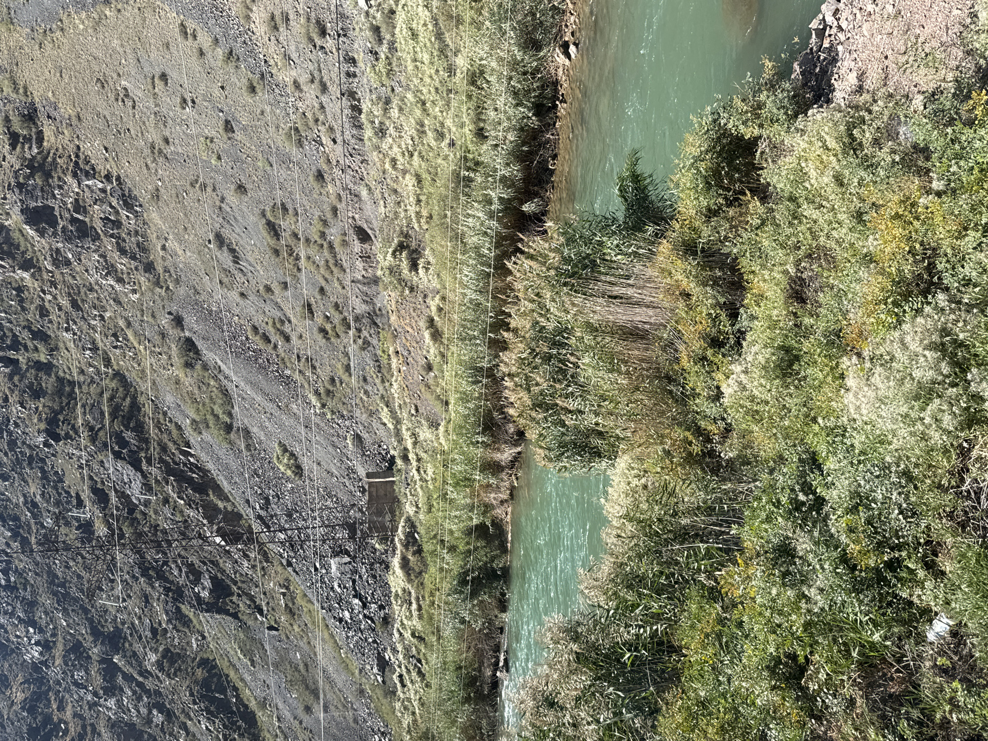 This is an outdoor, medium-range, eye-level shot of a rocky mountainside and a river in Krasnyy Most, Kyrgyzstan. In the background, a steep, rocky mountainside slopes upward. A tall, metal power pylon stands prominently against the mountainside, with several power lines stretching horizontally across the frame. Below the mountain, a wide, greenish-blue river flows from left to right. The riverbanks are densely populated with various types of vegetation, including tall reeds and leafy green plants, some with white fluffy seed heads. In the foreground, the vegetation is also abundant, with a mix of green plants and dried grasses. The overall scene depicts a natural, rugged landscape with evidence of human infrastructure.