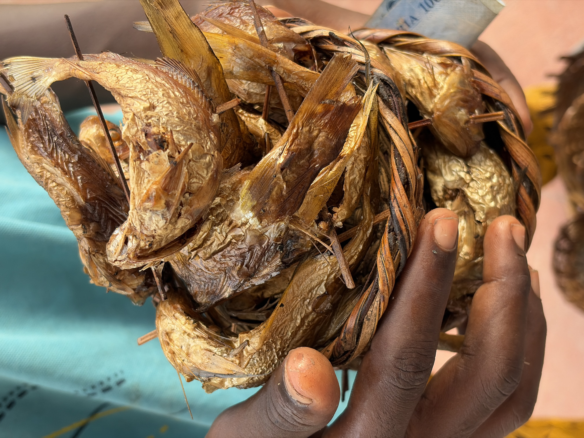 A close-up shot features a person's dark-skinned hands holding a large, tightly woven bundle of smoked or dried fish. The fish are golden-brown with a visibly dry, crinkled texture, and are bound together with natural, thin sticks or plant fibers, forming a robust package. Several individual fish are discernible, their bodies curved and tails stiff.
The hands firmly grasp the bundle, with fingers and thumb clearly visible against the textured fish and weaving. In the blurred background, a light blue fabric, likely clothing, is present on the left, while a reddish-brown surface suggests an outdoor or market setting. A partially visible Nigerian banknote, indicating "Naira 100", is tucked into the top of the bundle, suggesting a transaction or display. The scene depicts a common local commodity, likely prepared for sale or transport, in Igboefon, Nigeria.