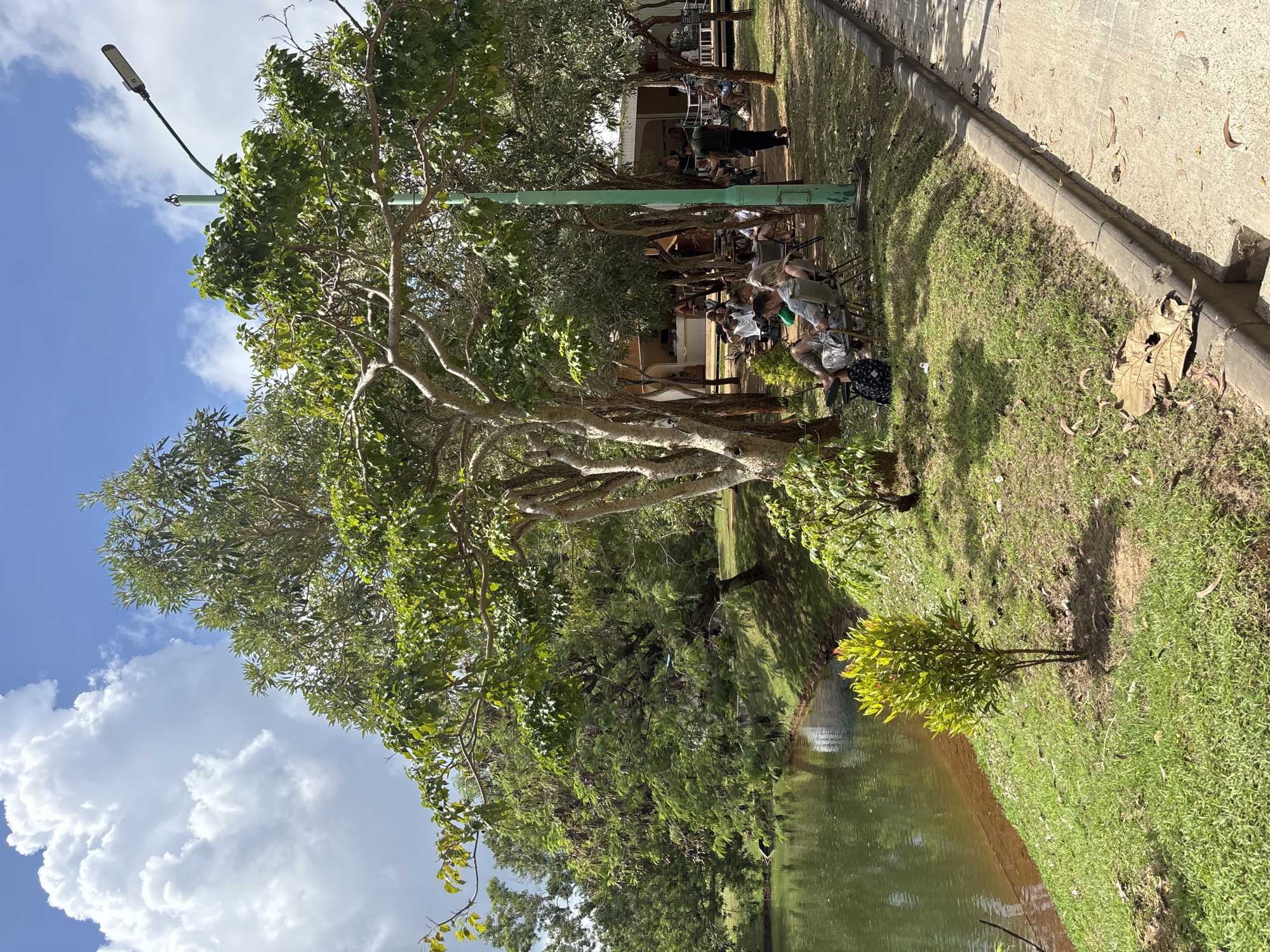 The image depicts a park setting in Kuta Selatan, Indonesia. A body of water, likely a pond or lake, is visible in the foreground, lined with grass and a small shrub. A large tree with distinctive, twisted branches dominates the left side of the frame, its foliage reaching toward a partly cloudy sky. A green utility pole is positioned near the tree. In the background, a gathering of people is seen seated and standing near a building or shelter. The area is landscaped with grass and trees. A sidewalk borders the park area on the right.