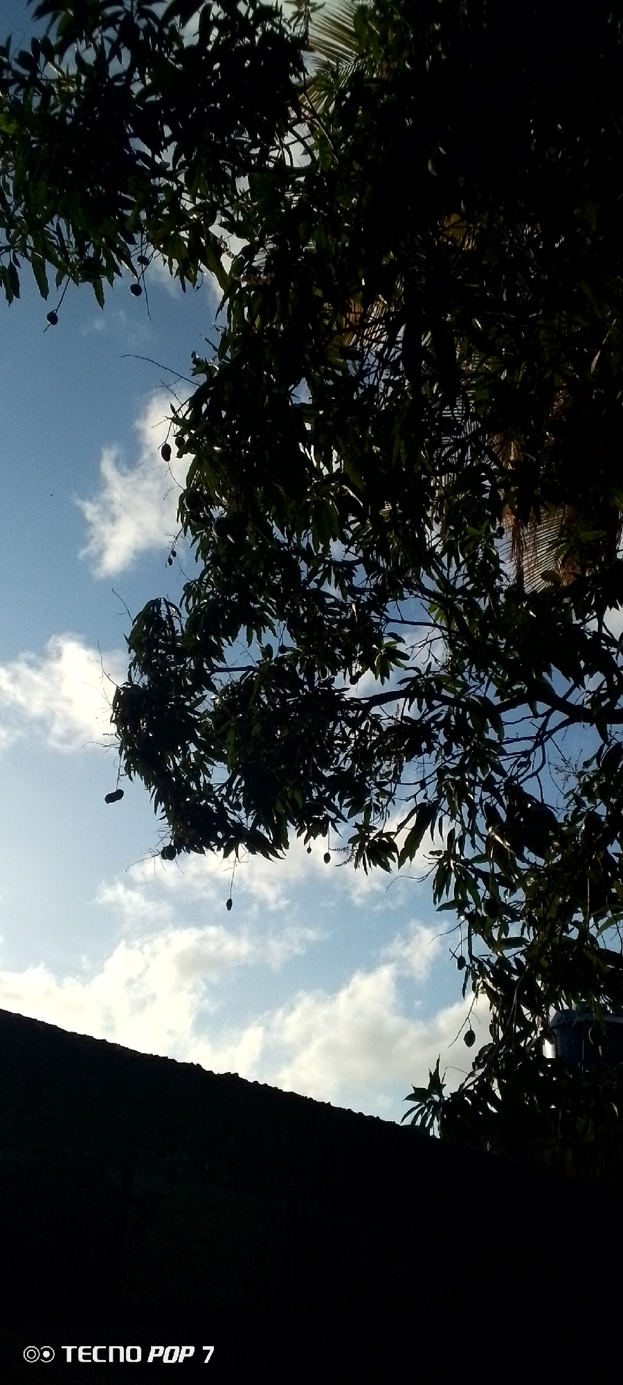 The image is taken in Altagracia, Venezuela, showing a view towards the sky framed by the silhouette of trees with fruit hanging from the branches. The sky is light blue with scattered white clouds. The bottom portion of the image is dominated by a dark, silhouetted structure, possibly a building or large object. The lighting is uneven, creating strong contrasts between the bright sky and the dark foreground.