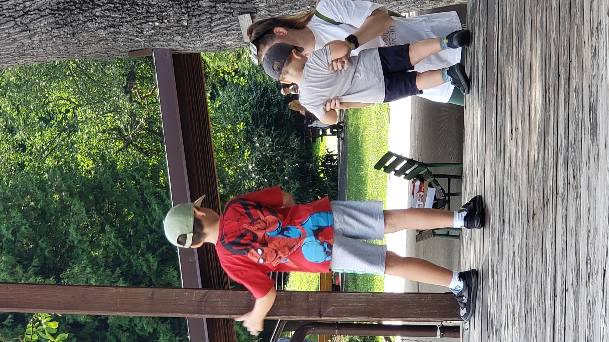 The image depicts an outdoor scene, likely a park or playground, featuring several individuals. In the foreground, a young boy wearing a red t-shirt with a Spider-Man graphic and gray shorts stands facing away from the camera, looking towards a wooden post. He has a light green cap on his head. To his right, a woman wearing a white t-shirt is holding a young child who is also facing away from the camera. The child is wearing a gray t-shirt and dark shorts and has a dark cap on. The environment includes lush green trees and foliage in the background, suggesting a natural setting. There are also some benches and picnic tables visible, hinting at a recreational area. The ground is made of weathered wooden planks in the foreground, with grass and a paved area further back. The overall impression is a casual, family-oriented outdoor gathering. The image is taken from a slightly elevated perspective, looking down on the scene.
