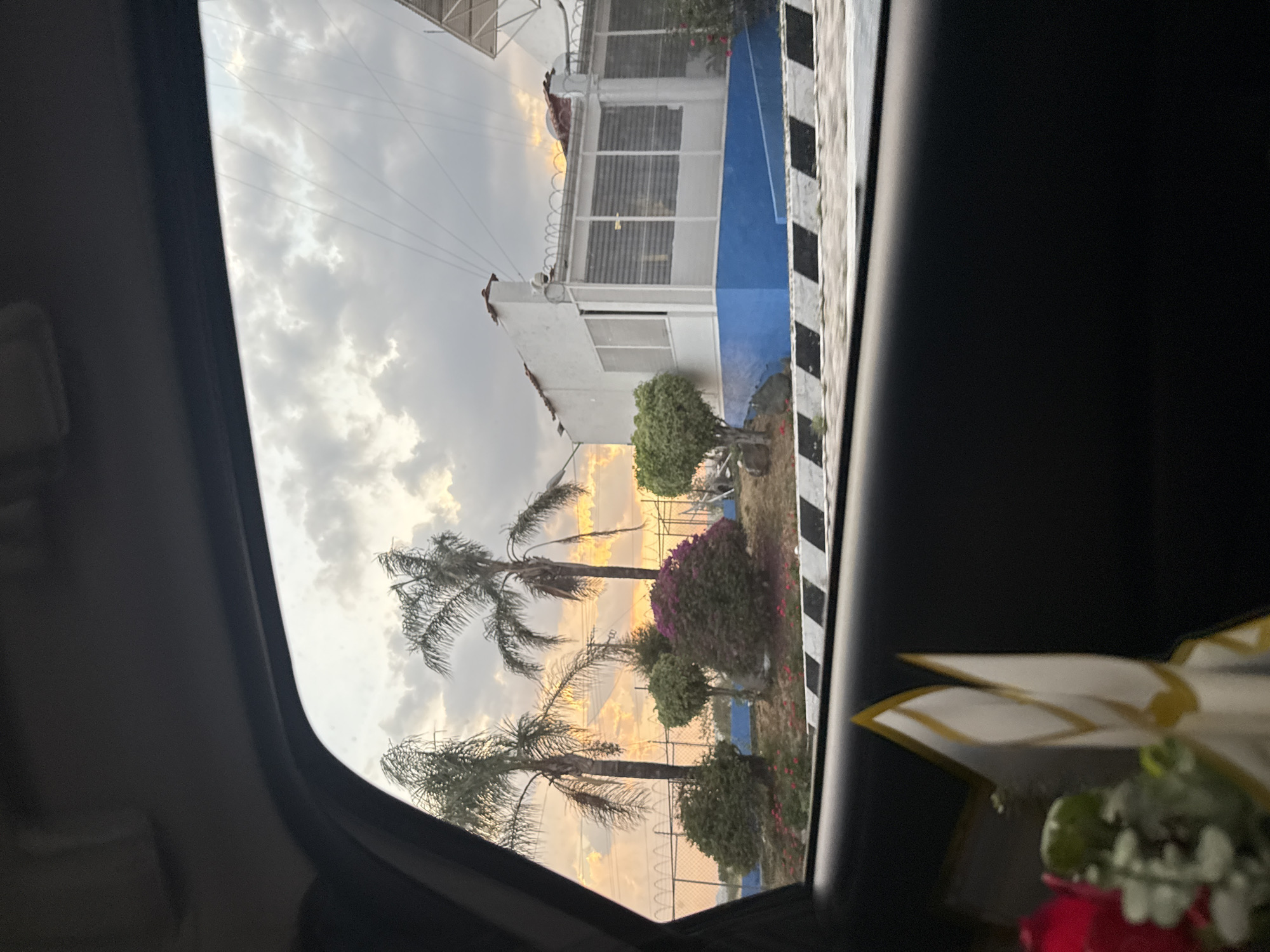 The image, taken from inside a vehicle, captures a scene of an exterior view in Metepec, Mexico. Palm trees are visible against a cloudy sky with a hint of golden light, indicating either sunrise or sunset. Adjacent to the trees is a building with a blue and white exterior, partially obscured by vegetation. A black and white striped barrier is positioned near the building. In the foreground, within the vehicle's interior, there is a blurry bouquet of flowers.