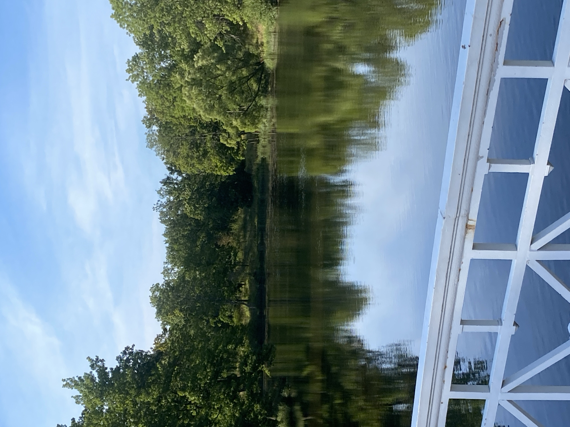 The image depicts a serene natural landscape with a body of water in the foreground, reflecting the surrounding trees and the sky. A white railing with a decorative design runs along the bottom of the frame, suggesting a bridge or embankment. The water is calm, with ripples indicating a gentle breeze. Lush green trees form a dense canopy along the far bank of the water, their foliage varied in shades of green. The sky above is a clear blue with scattered wispy clouds. The overall impression is one of tranquility and natural beauty. This scene is likely located in the city of Pushkin, Russia, known for its picturesque parks and gardens, such as Catherine Park.