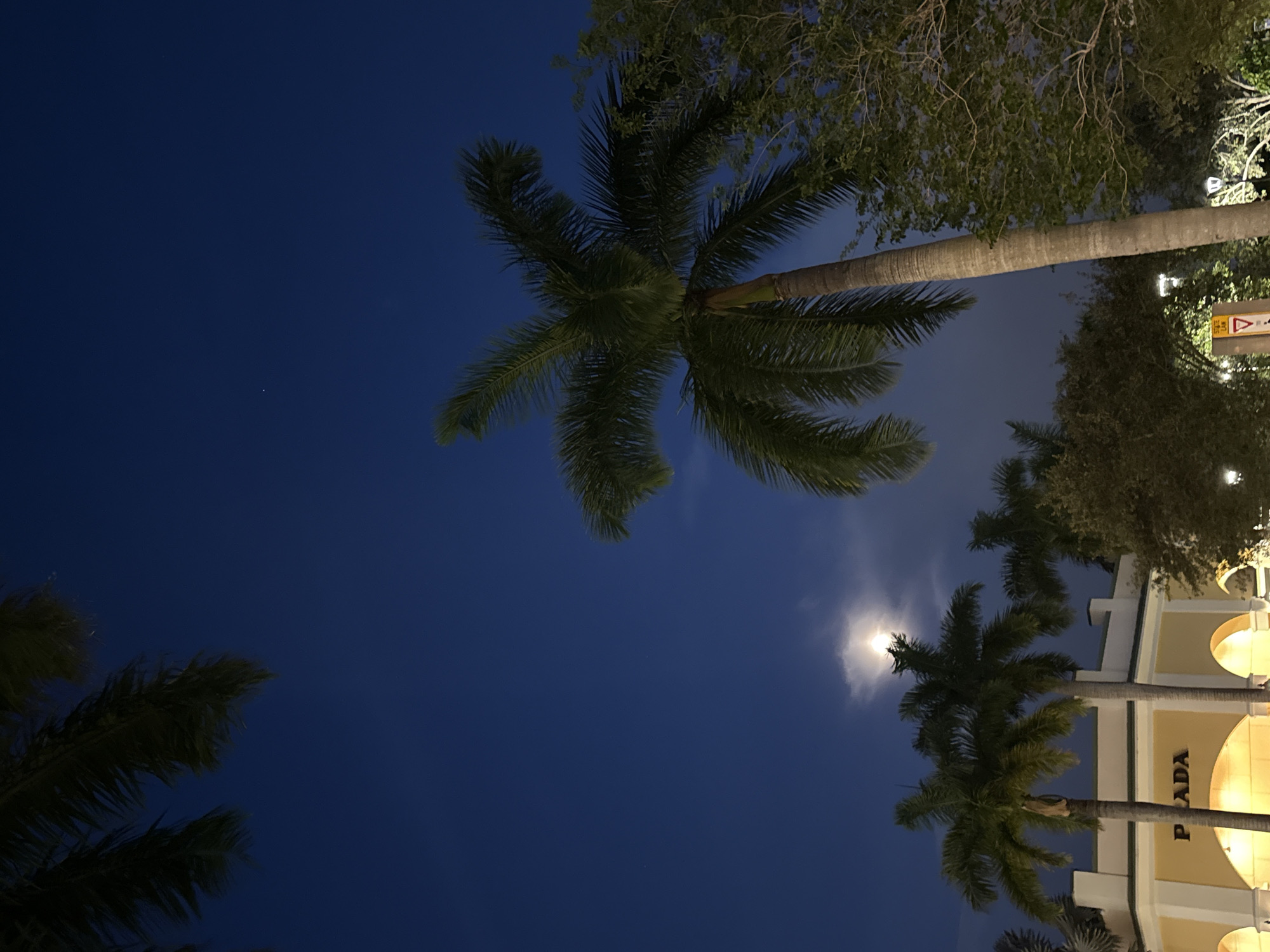 The image depicts a night scene in Sunrise, Florida, United States of America. The camera is pointed upwards, capturing several palm trees against a dark blue sky. A bright, hazy moon is visible behind one of the trees. A building with the word "PRADA" partially visible on its facade is also in the frame, suggesting a retail or commercial area. Other trees and foliage are present, adding to the tropical urban environment.