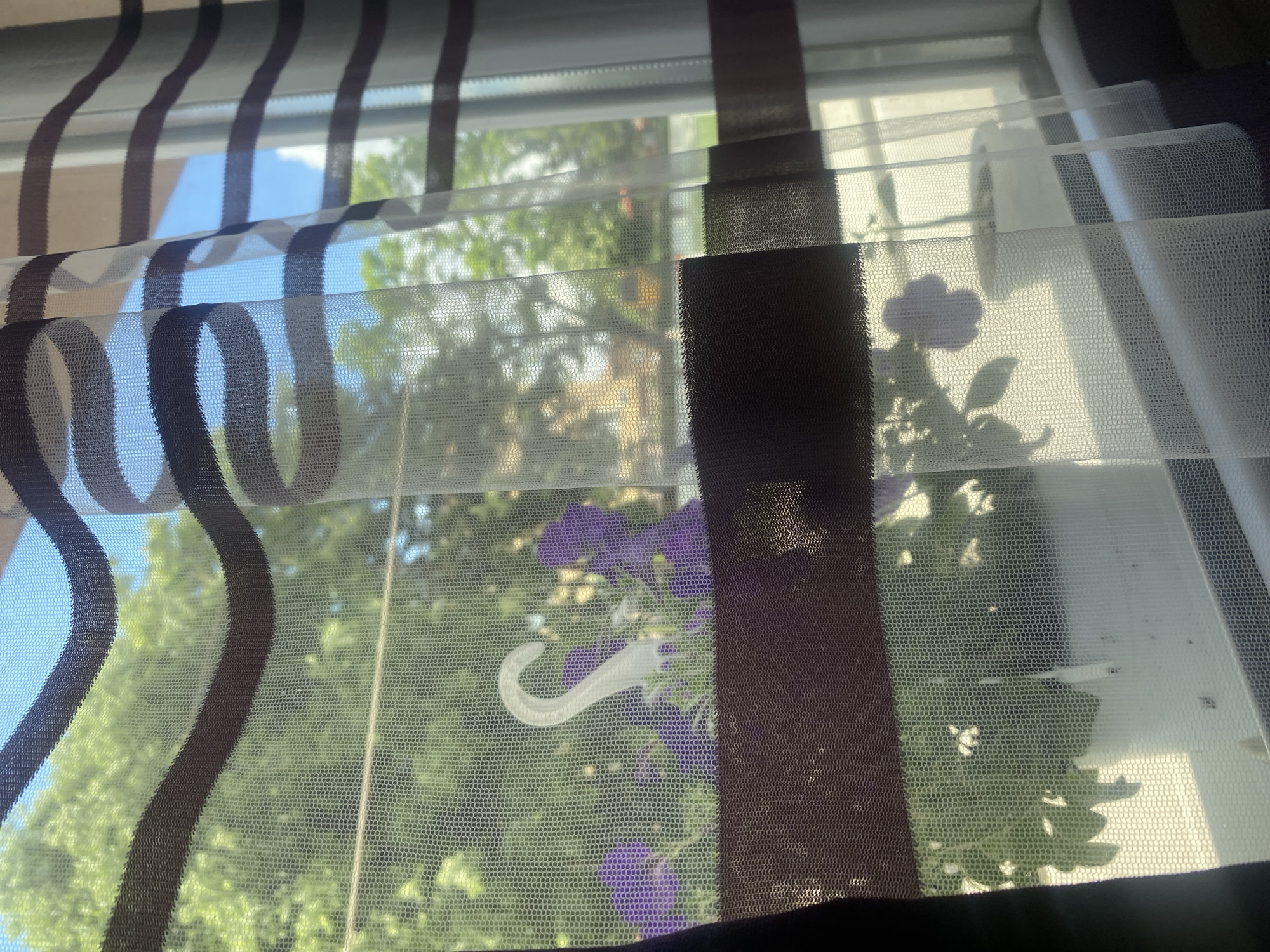The image shows a view through a window covered with striped blinds. Outside, there is greenery and what appears to be a hanging flower pot with purple flowers, possibly petunias. A white hook is visible holding the flower pot. The scene could be located in Ivaylovgrad, Bulgaria, but there is no information to confirm that.