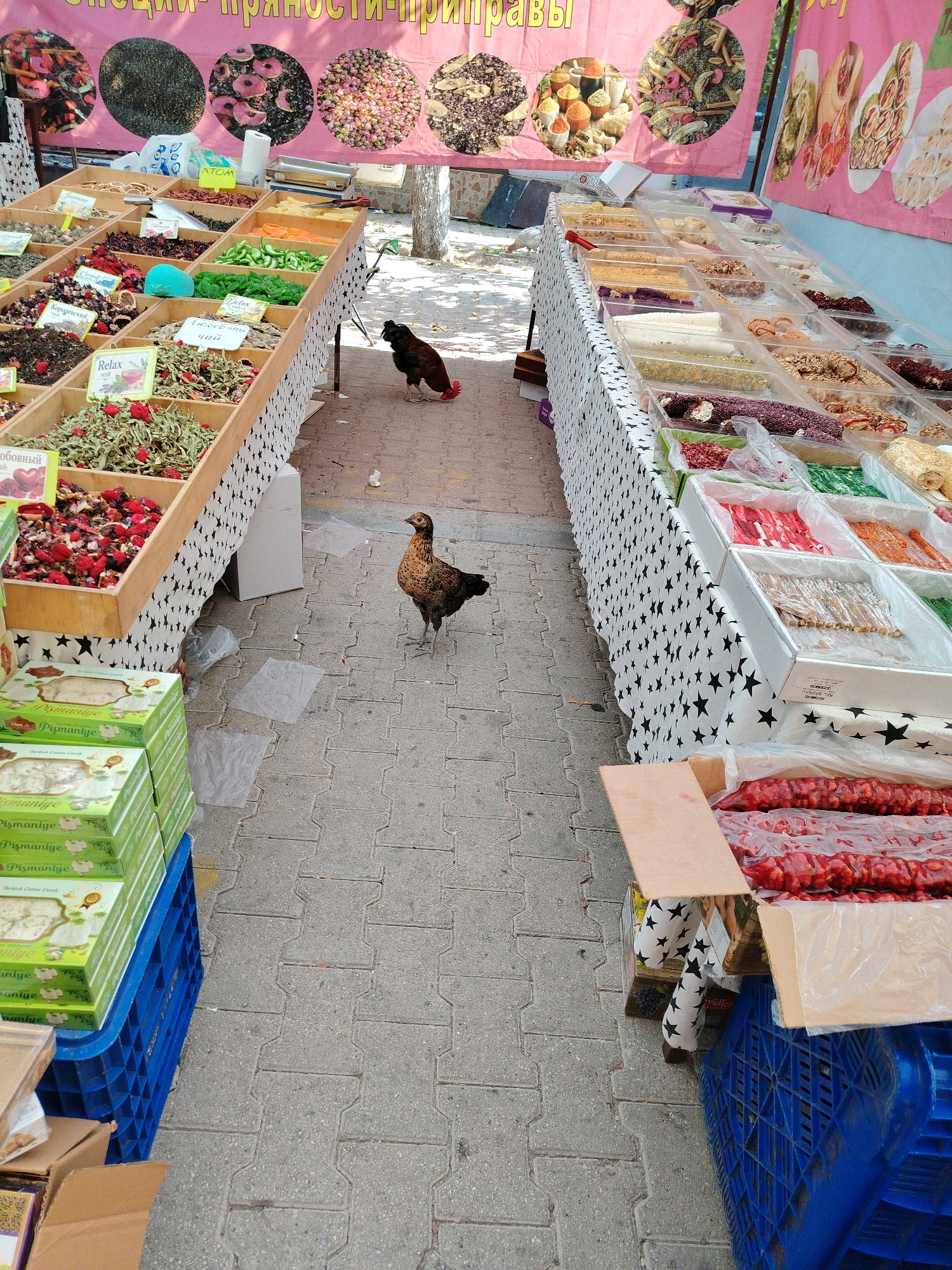 In Kemer, Turkey, an outdoor market stall displays various goods on tables covered with star-patterned cloths. The stall features wooden crates filled with dried herbs, teas, and spices, with small labels indicating their contents. Alongside these, rows of colorful Turkish delight and other confectionery are arranged in clear plastic containers. A few chickens are present in the foreground and background of the scene. The ground is paved with interlocking stones.
