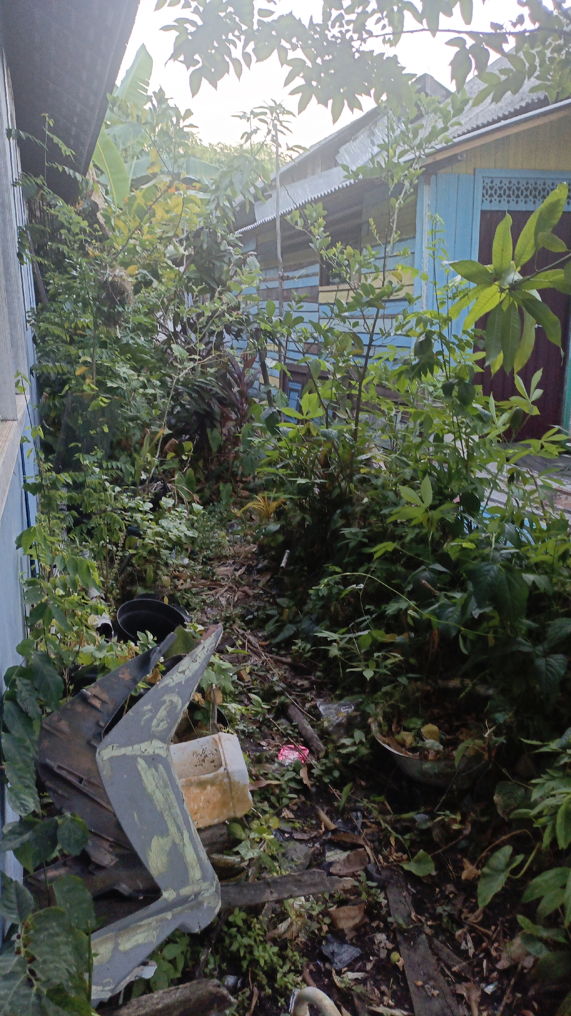 This image depicts an overgrown outdoor area adjacent to a wooden house painted blue and yellow. A pathway, partially obscured by dense vegetation, leads away from the foreground. Scattered debris, including a black bucket, a white plastic container, and a large piece of gray, curved material, litters the ground. The overall impression is one of neglect and disarray within a tropical environment. The location is specified as Gusunge, Indonesia.