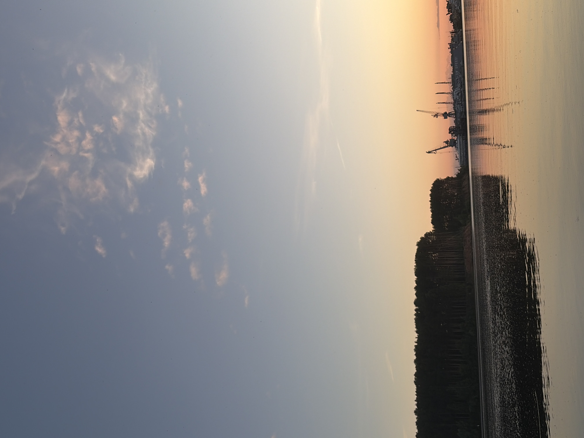 The image captures an expansive, serene landscape at either sunrise or sunset over a body of water in an unknown city. The sky transitions from a warm, golden orange at the horizon to a soft, pale blue overhead. Scattered, wispy cirrus clouds, tinted pink and white by the low sun, are visible primarily in the upper right quadrant. A few minuscule, dark specks, possibly birds or dust, are distributed across the upper sky.
The lower half of the image is dominated by the calm surface of a wide river or lake, reflecting the sky's colors in a subdued, rippled pattern. The reflections are more prominent and golden closer to the horizon, gradually darkening towards the foreground where the water displays fine texture and undulations.
Along the horizon, dividing the water from the sky, a distinct treeline of dark, dense coniferous trees forms a silhouette on the left side of the frame, appearing to stand on a raised bank. To the right of these trees, across the water, an industrial complex or shipyard is visible. This area features multiple large, dark-silhouetted industrial cranes, with at least two prominent ones clearly discernible. Several ships or large vessels are docked or in dry dock, with some industrial buildings also present. Faint text, possibly "S-DW SPEED!", is visible on the side of one vessel. No human figures are present within the frame.