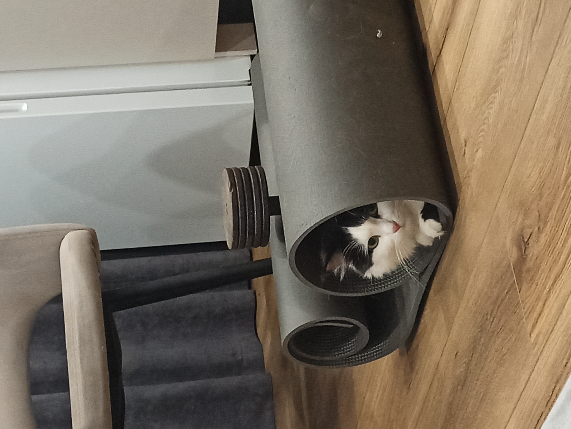 The image shows a black and white cat peering out of a rolled-up gray yoga mat. The yoga mat is standing vertically on a wooden floor. To the left of the yoga mat is a beige chair and a gray upholstered structure. Behind these objects, there is a white appliance, possibly a refrigerator. The image was taken in Кондратово, Russia.