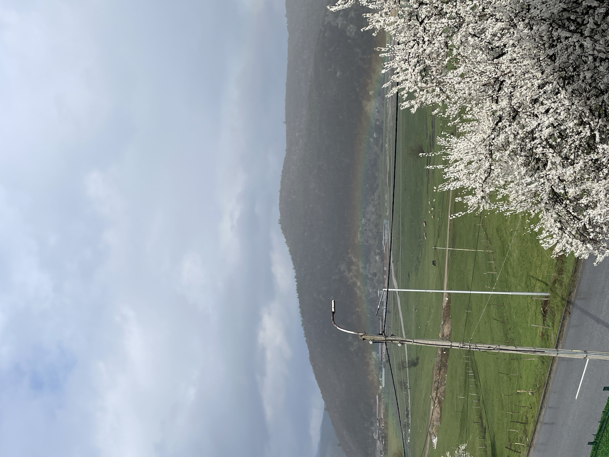 The image shows a rural landscape with a hill in the background and a rainbow extending across it. A field of green grass occupies the center of the frame, with a lamppost and power lines running through it. A road borders the field. In the upper right corner, there's a tree with white blossoms. The sky is cloudy and overcast.
The location cannot be determined to be Velingrad, Bulgaria with information available in the image.