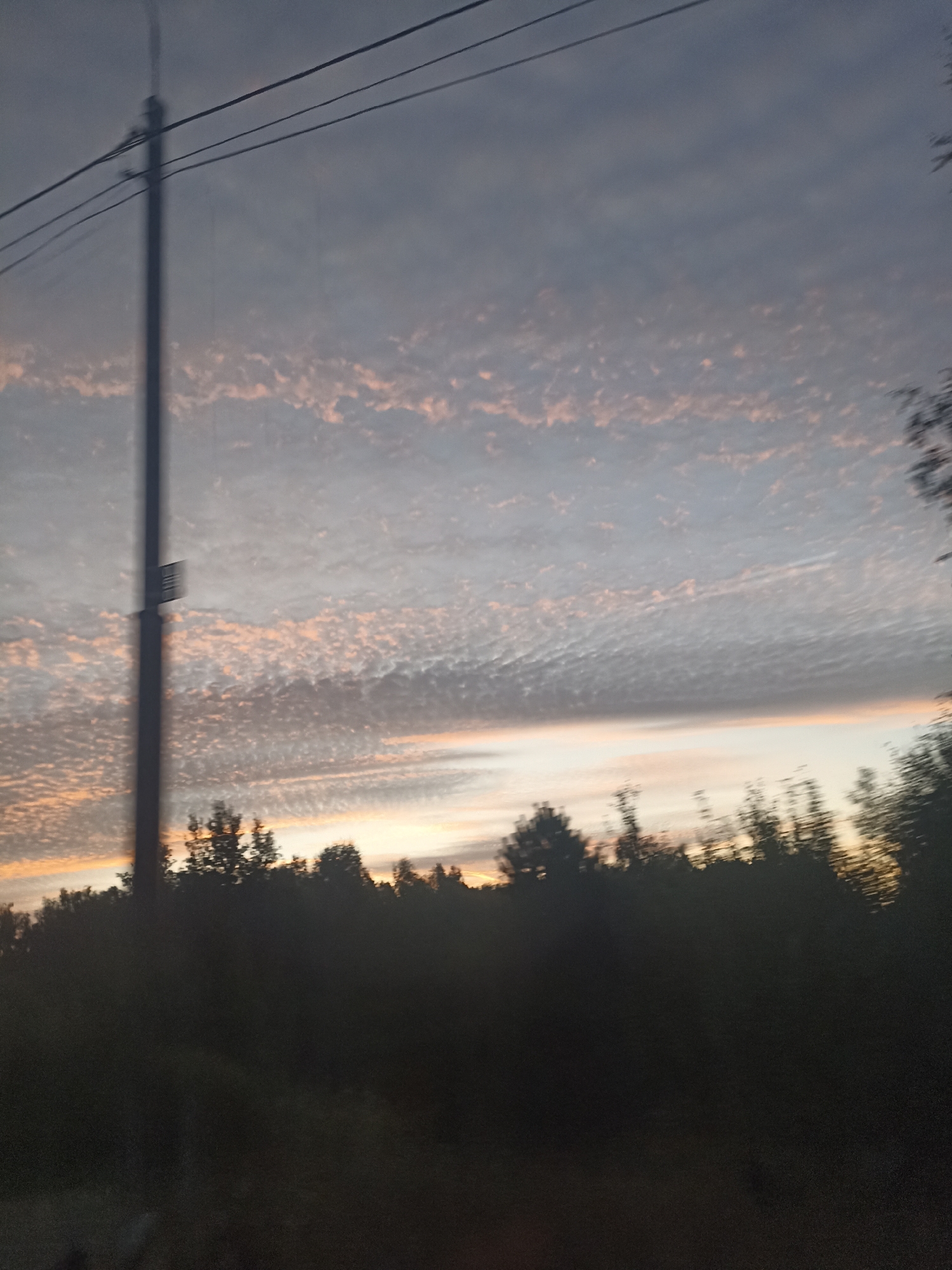 This image captures a dusk or dawn sky over a wooded area. The sky is filled with elongated clouds that are tinged with pink and orange hues, suggesting the sun is low on the horizon. A tall, dark pole with overhead wires is visible on the left side of the frame, a common feature of rural or suburban landscapes. The lower portion of the image is dominated by the dark silhouettes of trees and foliage, suggesting a densely wooded area. The overall impression is one of natural beauty at a transitional time of day, with a man-made element intruding on the scene. The location in Grishenki, Russia, implies a setting in a region with distinct seasonal changes and a prevalence of natural landscapes.