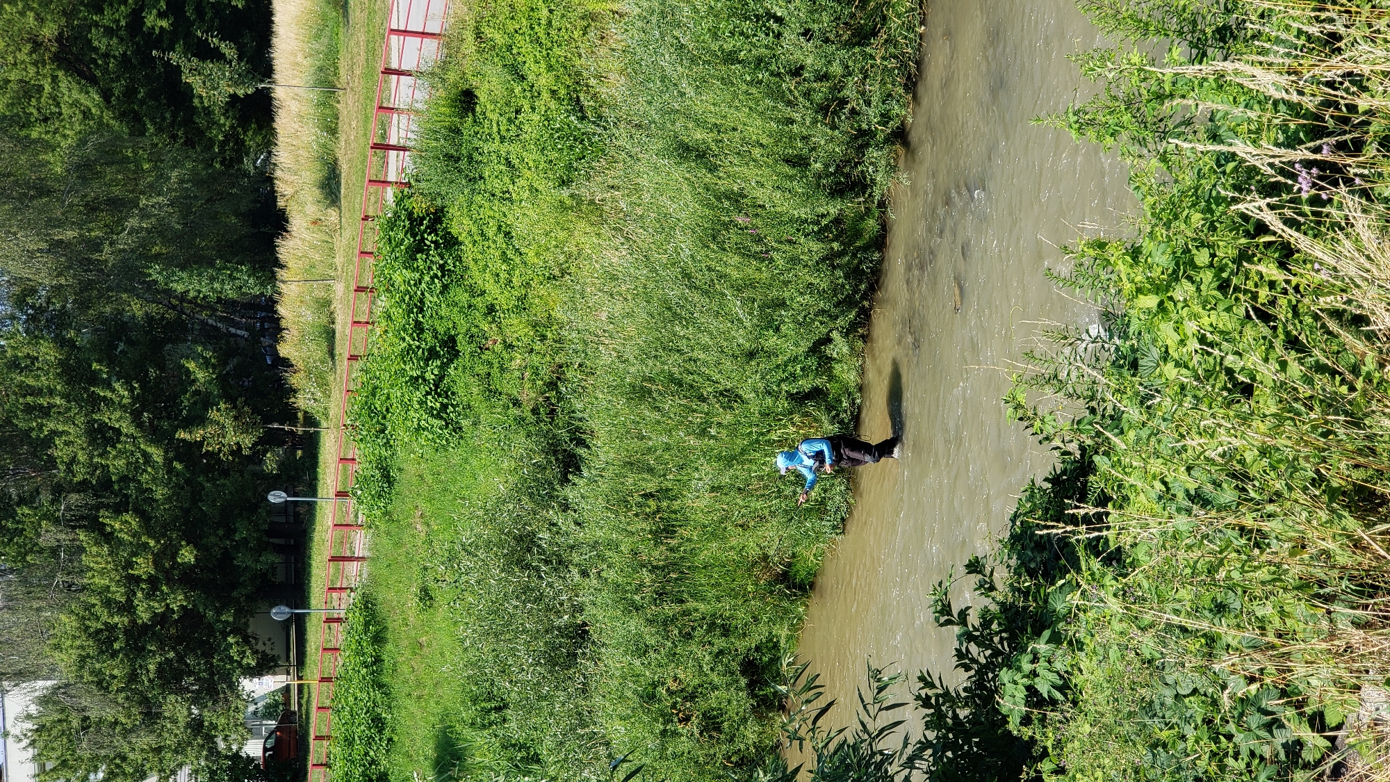 A person is fishing in a shallow, murky river in Prešov, Slovakia. The angler, wearing a blue hood and dark clothing, stands in the water near the middle of the river, holding a fishing rod. The riverbanks are densely covered with green foliage and tall grasses. In the background, a red railing runs along a path bordered by trees and some buildings. The weather appears to be sunny.
