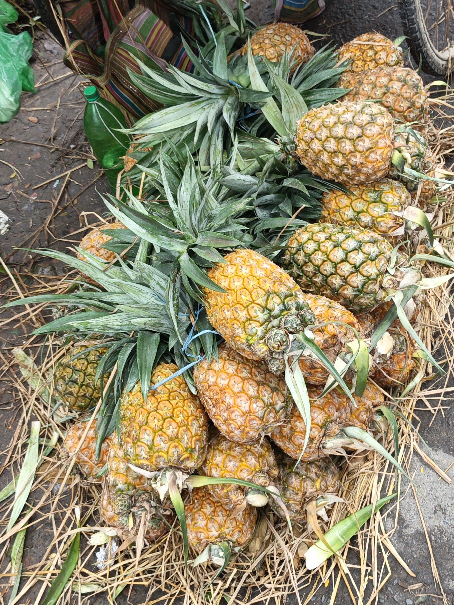 This image depicts a market stall in Jashore, Bangladesh, where a large quantity of ripe pineapples are displayed on a bed of dried straw. The pineapples are predominantly yellow and orange, with green leafy crowns. Some of the pineapples are tied together with blue string. In the background, a green plastic bottle with a green cap is visible, alongside a colorful striped textile and a green plastic bag. The ground appears to be dirt and gravel. The overall scene suggests a bustling local market setting.
